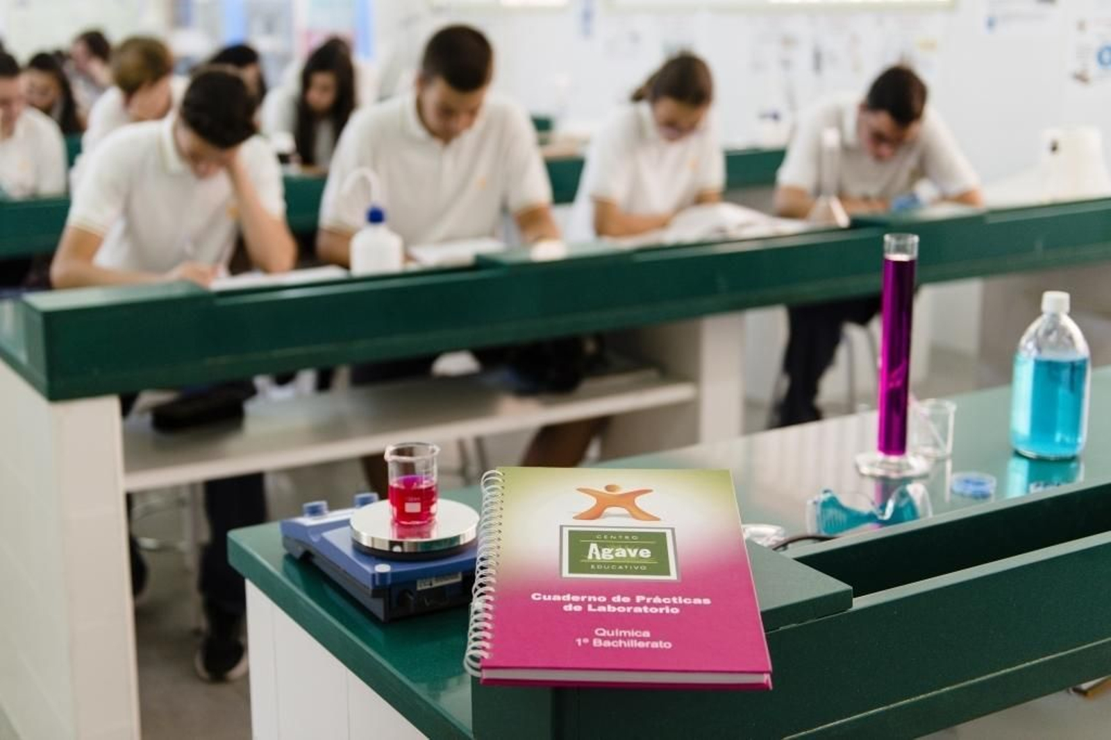 Los alumnos del Bachillerato Internacional.