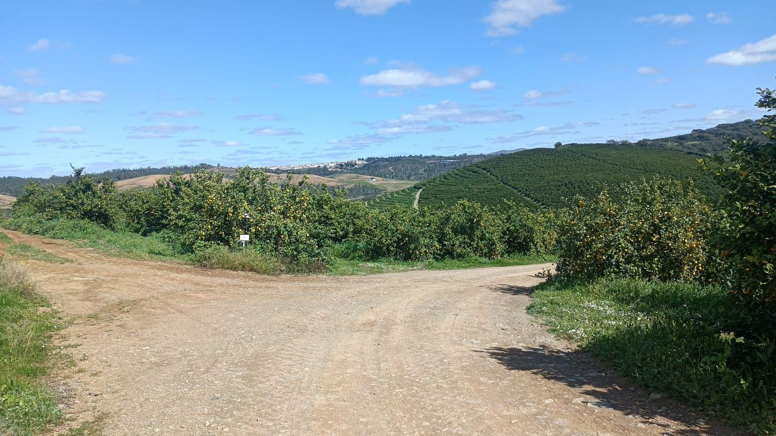 Bajada al Arroyo del Pedregal por la derecha.