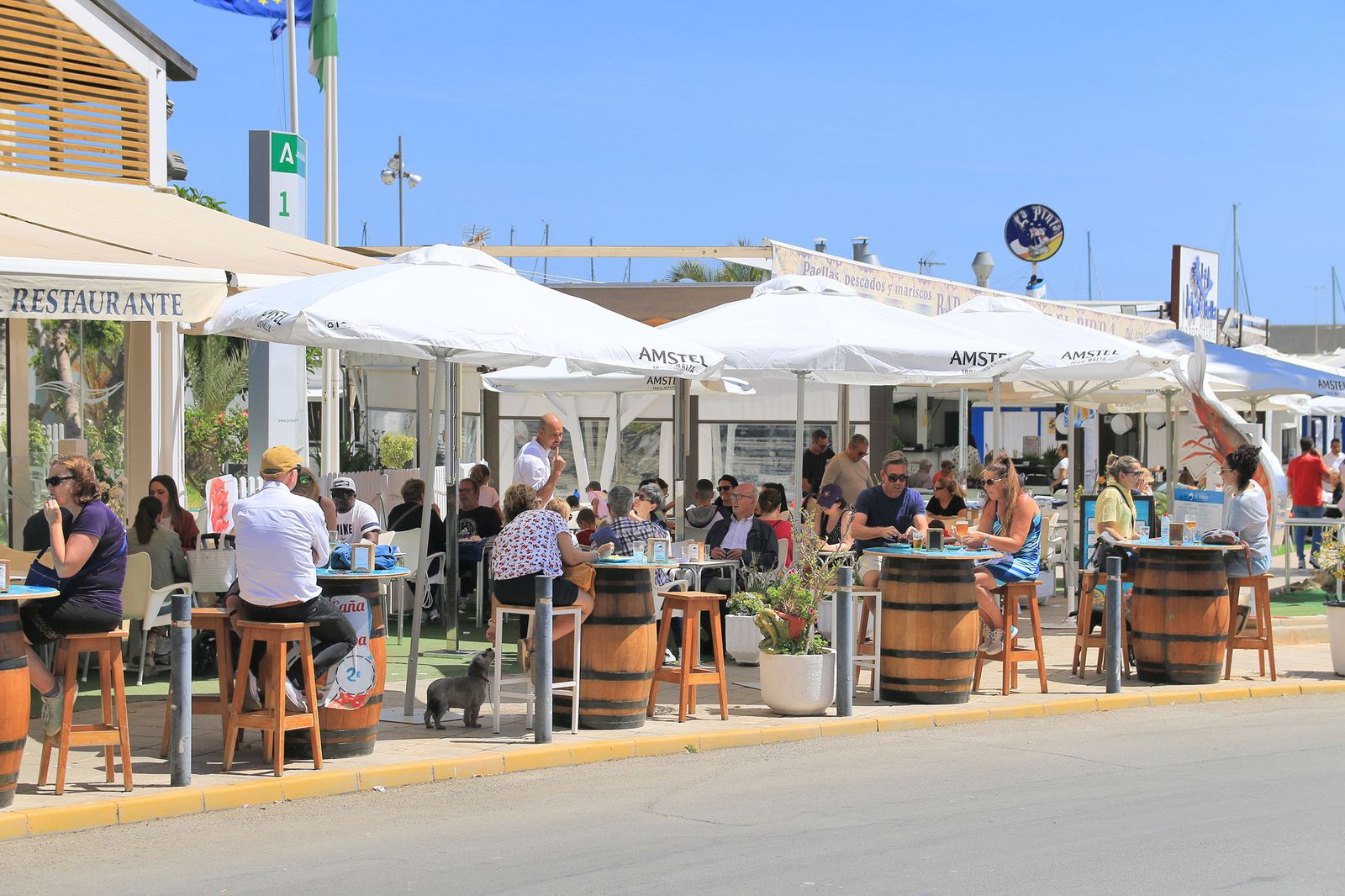 Garrucha llena sus bares con la VI Ruta de la Tapa