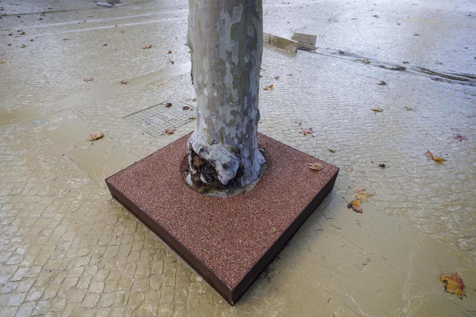 Las imágenes de la apertura de la nueva plaza de España. Las imágenes de la apertura de la nueva plaza de España.