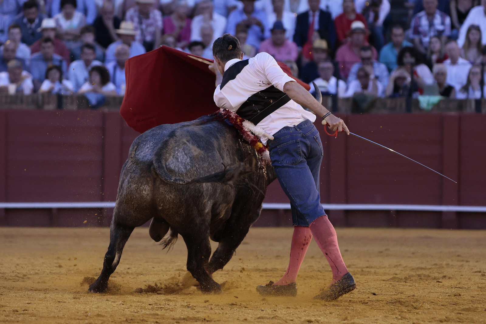 Las imágenes del festejo
