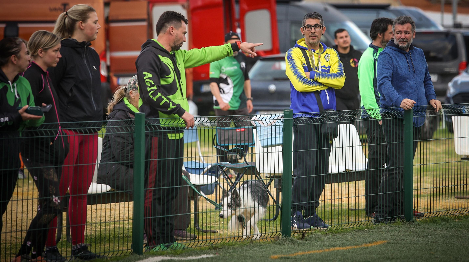 Habilidad canina en la prueba puntuable para el Campeonato de España de 'Agility' celebrado en Jerez Espectaculares las pruebas de disciplina canina puntuables para el Campeonato de España de Agility
