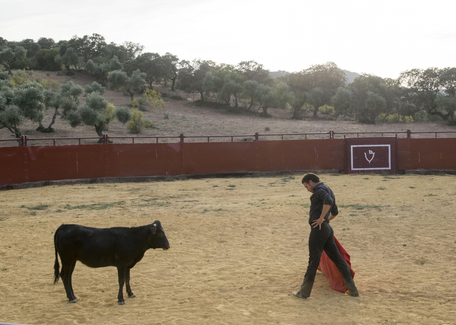 Finito de Córdoba, en un tentadero en la Sierra, en imágenes