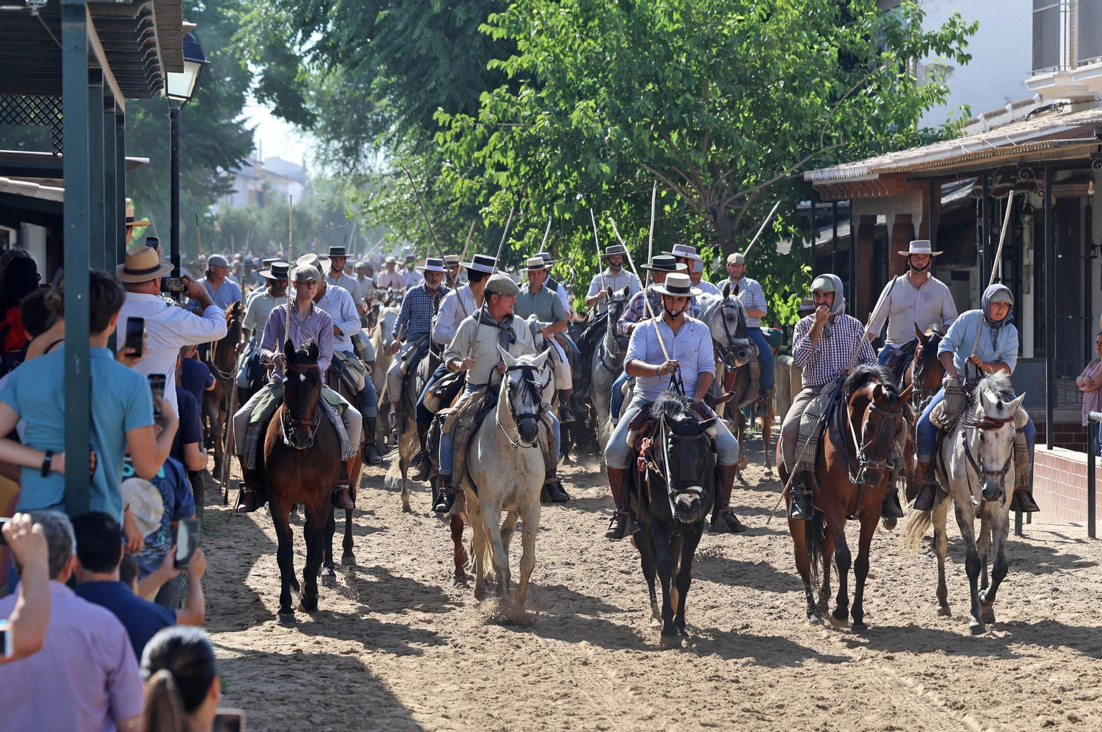 Las mejores imágenes de la Saca de las Yeguas 2025