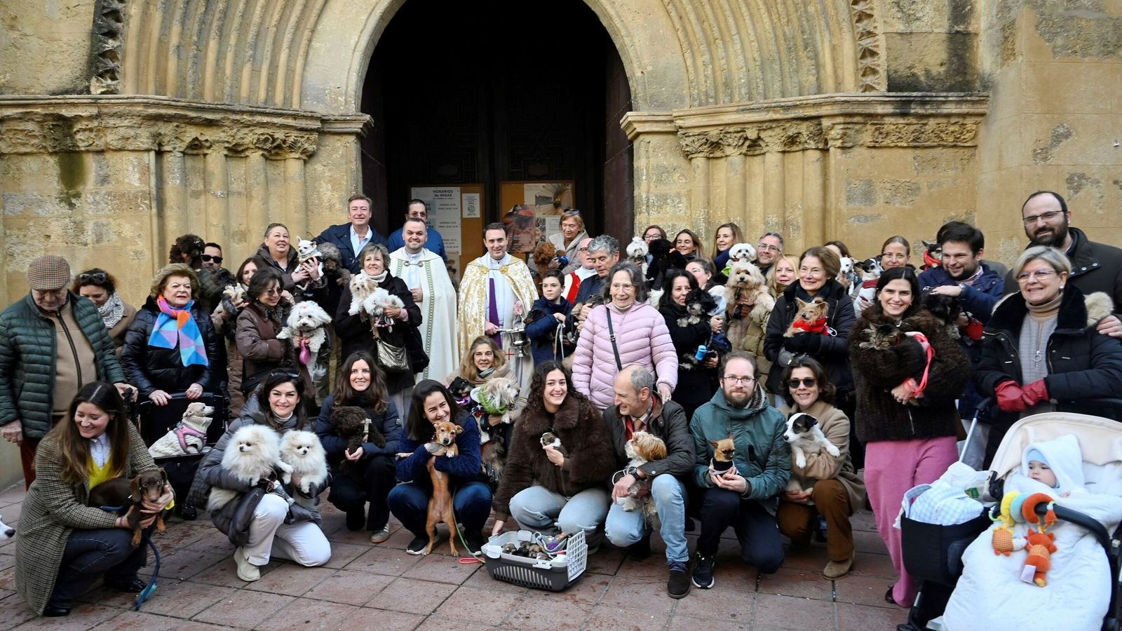 La bendición de animales por San Antón en Córdoba