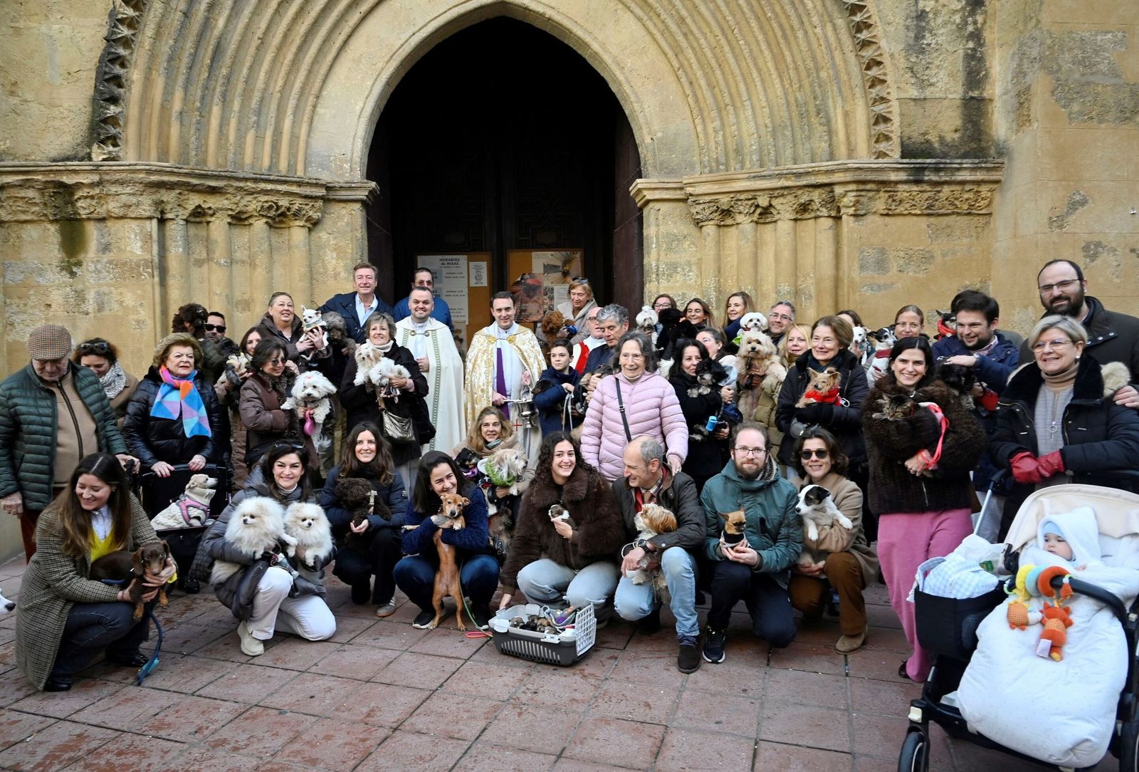La bendición de animales por San Antón en Córdoba