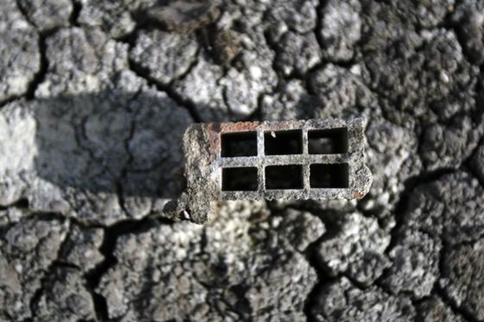 Los escombros de la actividad constructora rodean el humedal.  

Foto: Fito Carreto