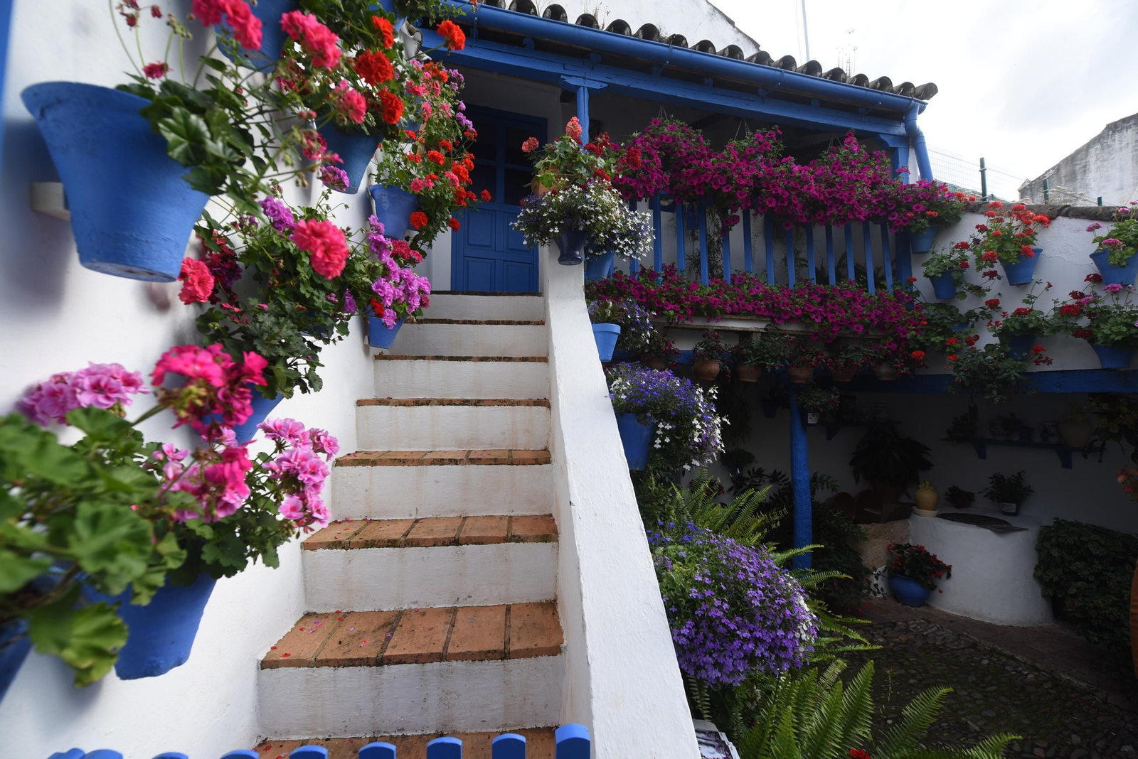 Los Patios de la ruta de San Lorenzo, en imágenes