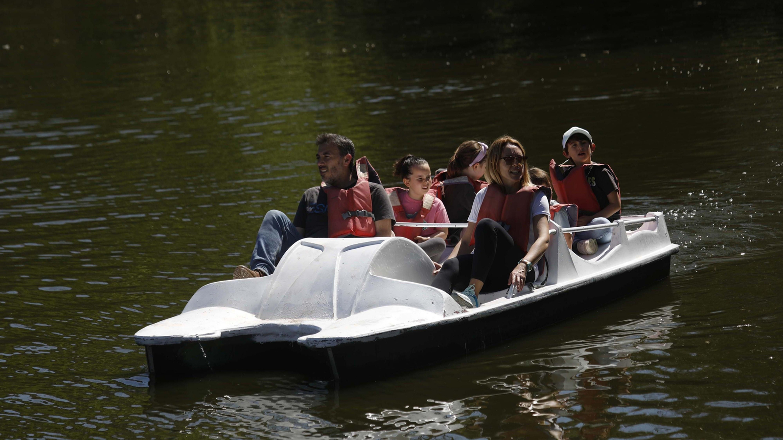 Las fotos del tigre de bengala, en la reserva "La pequeña África"