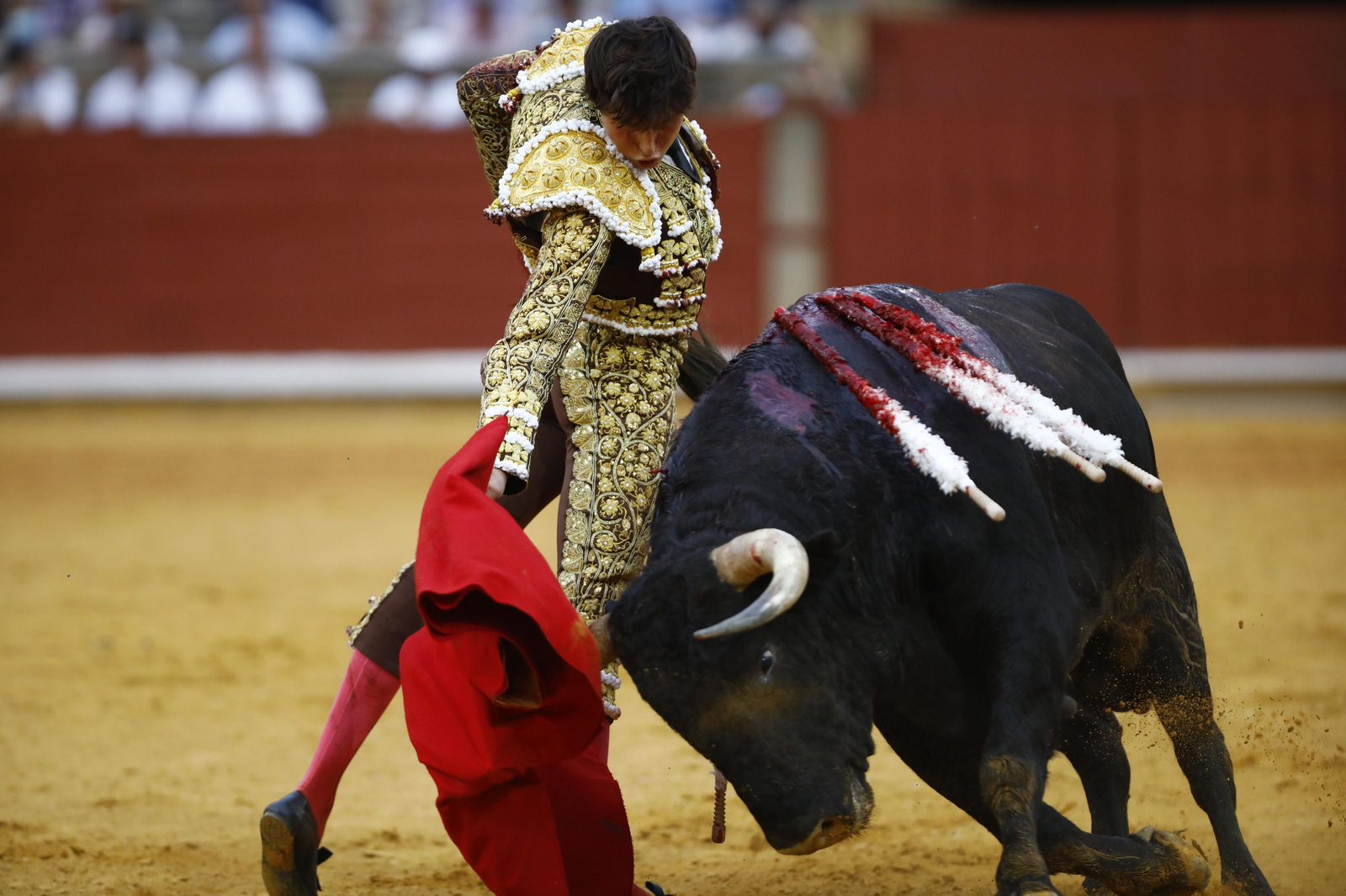 La corrida de Talavante, Roca Rey y Lagartijo, en Córdoba, en imágenes