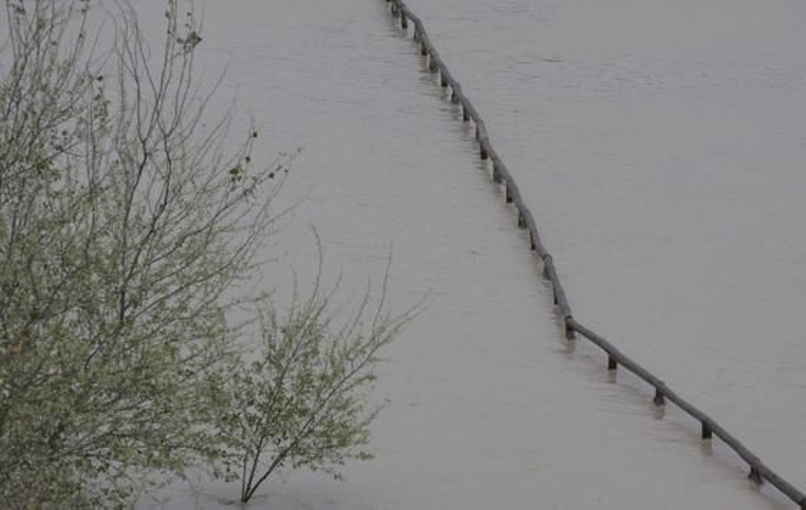 Foto: Victoria Hidalgo/Juan Carlos Muñoz