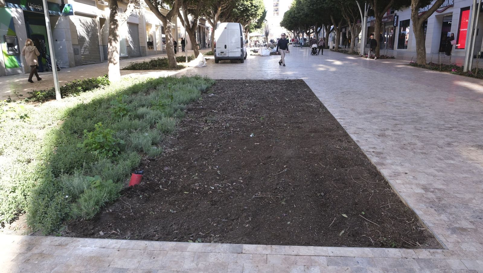 Las imágenes de la modificación de los parterres del Paseo de Almería