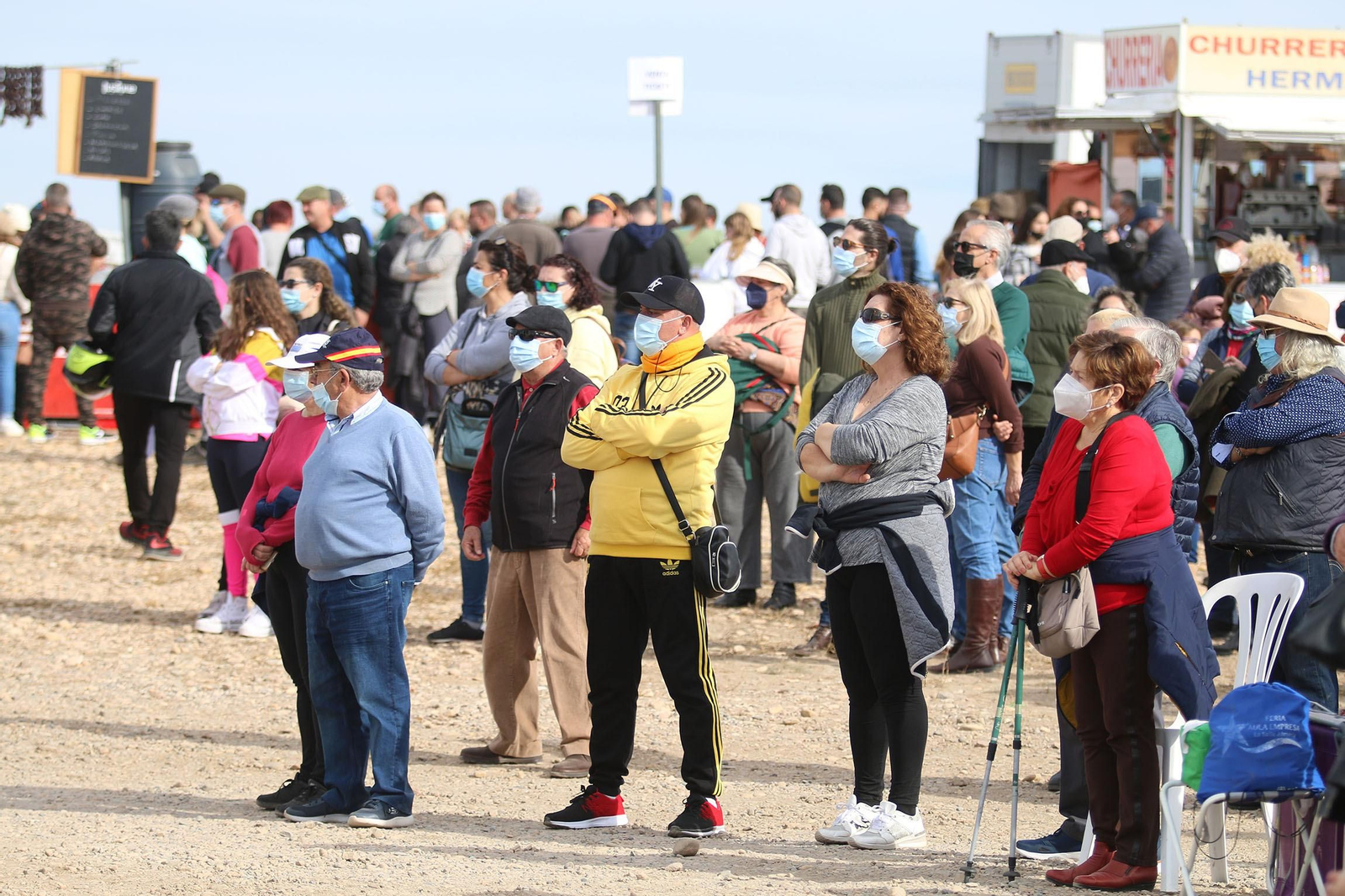 Fotogalería de la Romería de Torregarcía