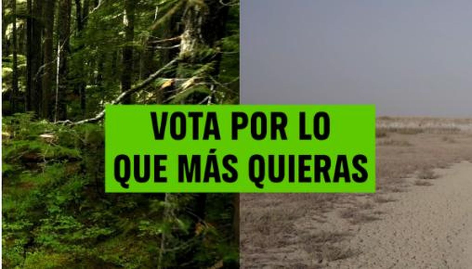 Vota por lo que más quieras: las propuestas de Greenpeace para las elecciones generales