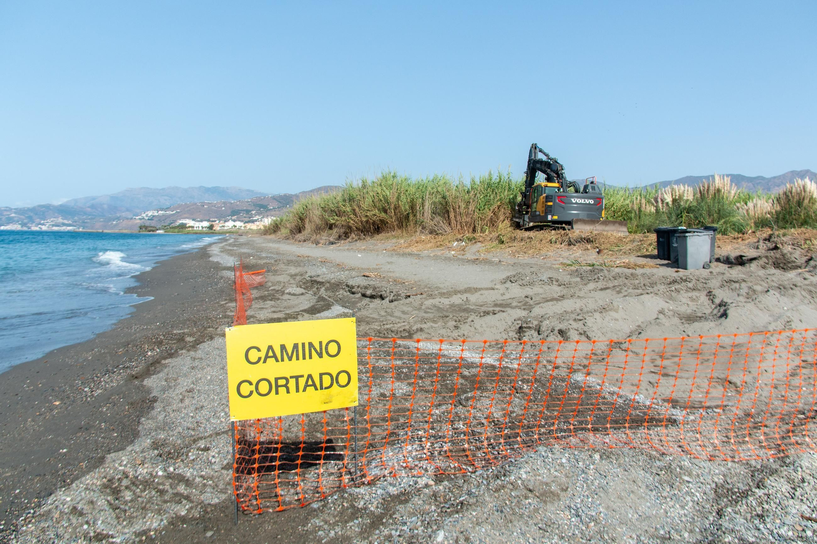 Una máquina se encarga de desbrozar las cañas de la zona
