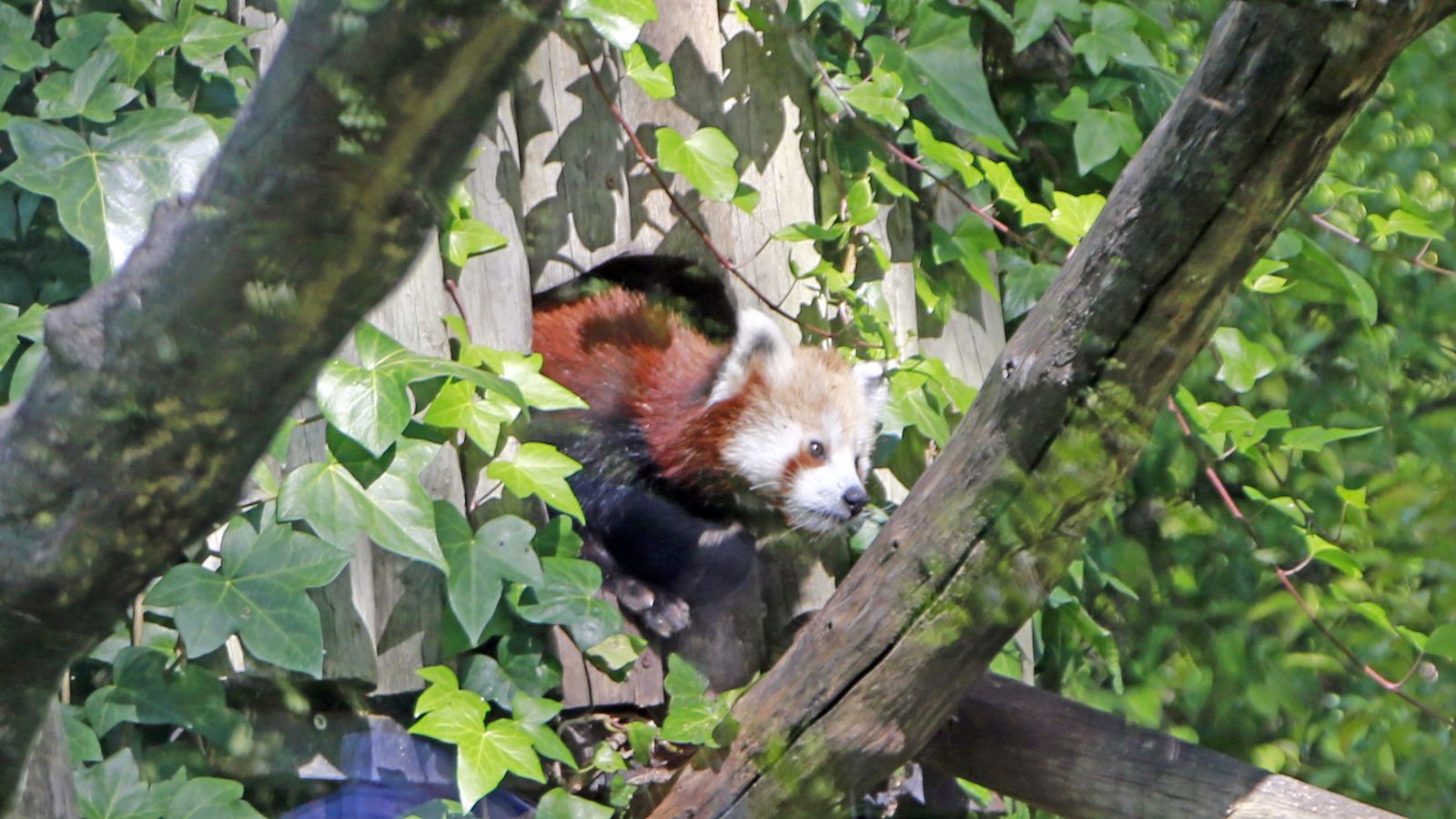 Reapertura del Zoo de Jerez