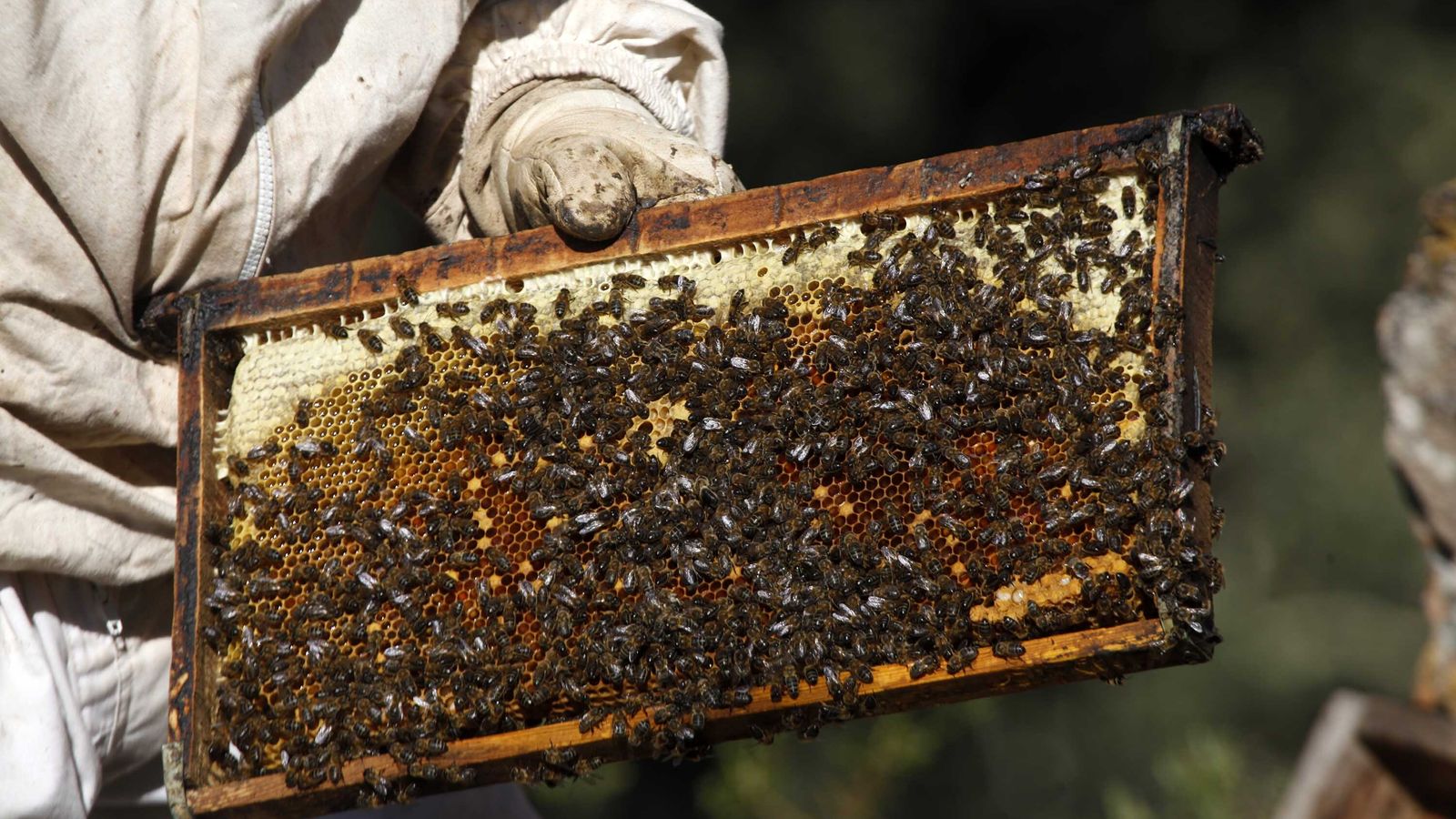 5375 REPORTAJE OFICIOS TRADICIONALES API-868(77439668)