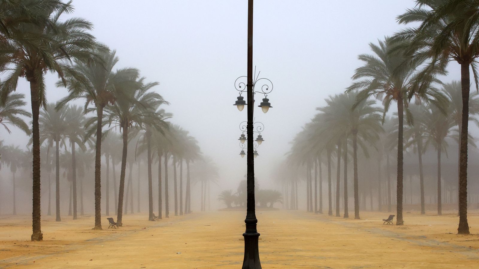 Mañana de niebla en Jerez