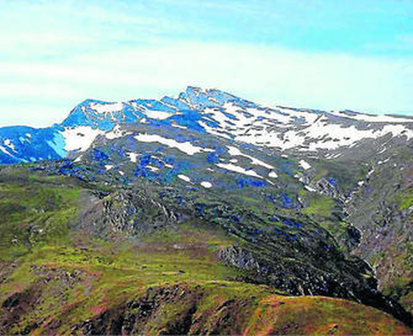 En Sierra Nevada hay cien mil hectáreas de superficie forestal.