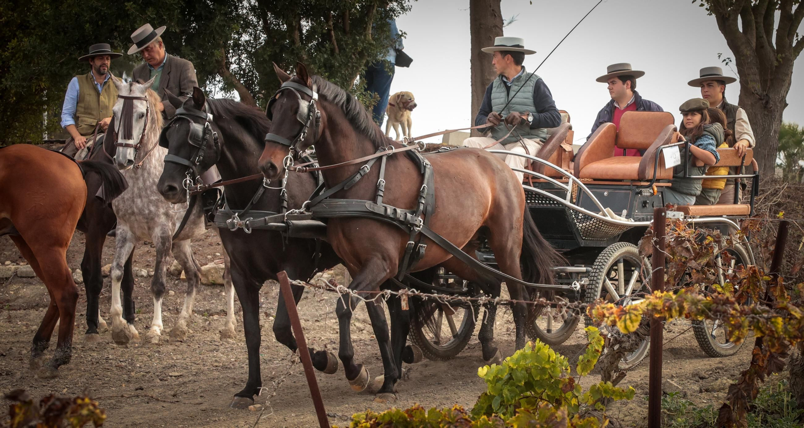 Búscate en la III Ruta Viñas de Jerez de Enganches
