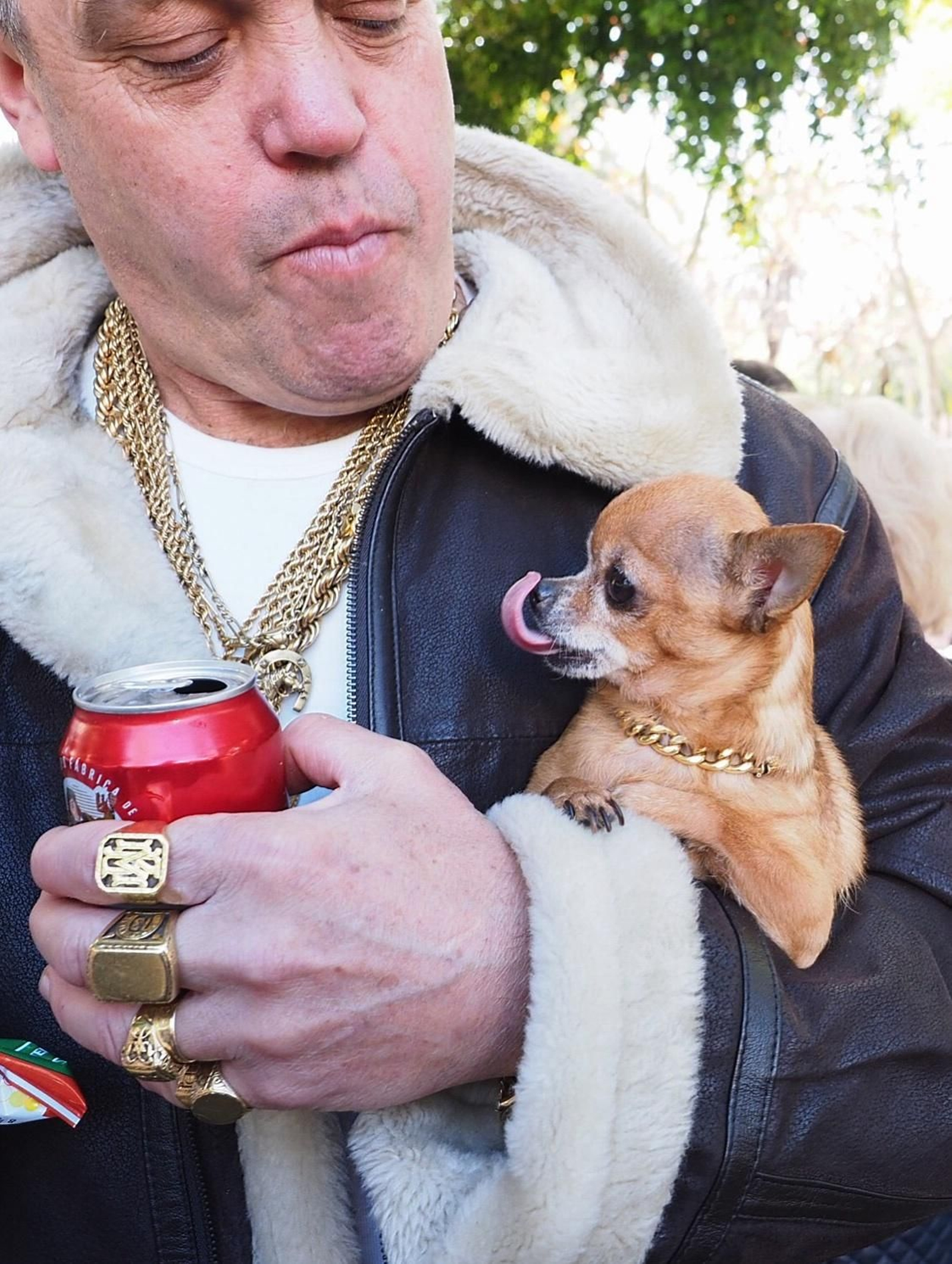 Las imágenes de la fiesta de San Antón en San Fernando