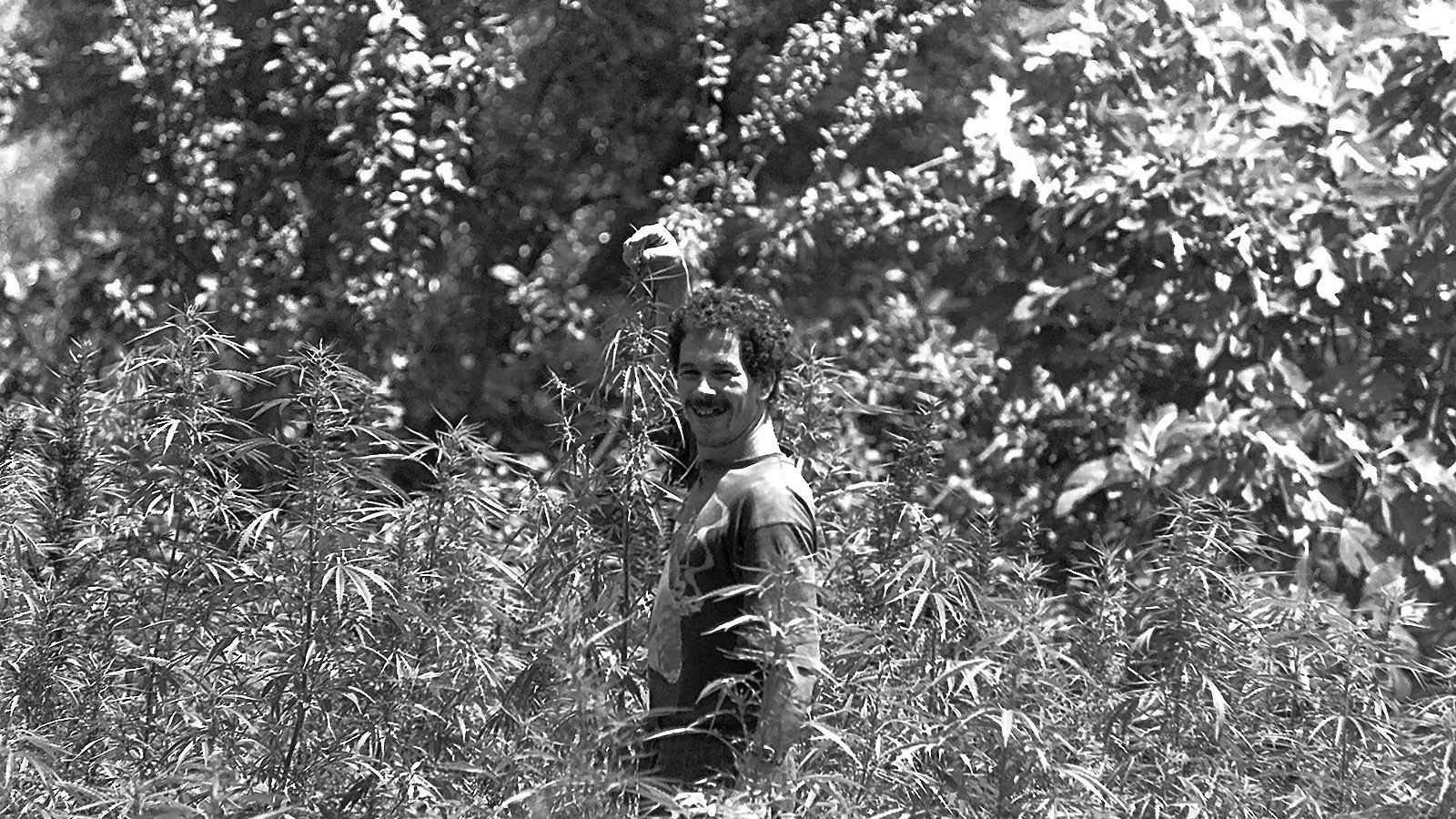 Una plantación de marihuana en Marruecos a finales de los años 80.