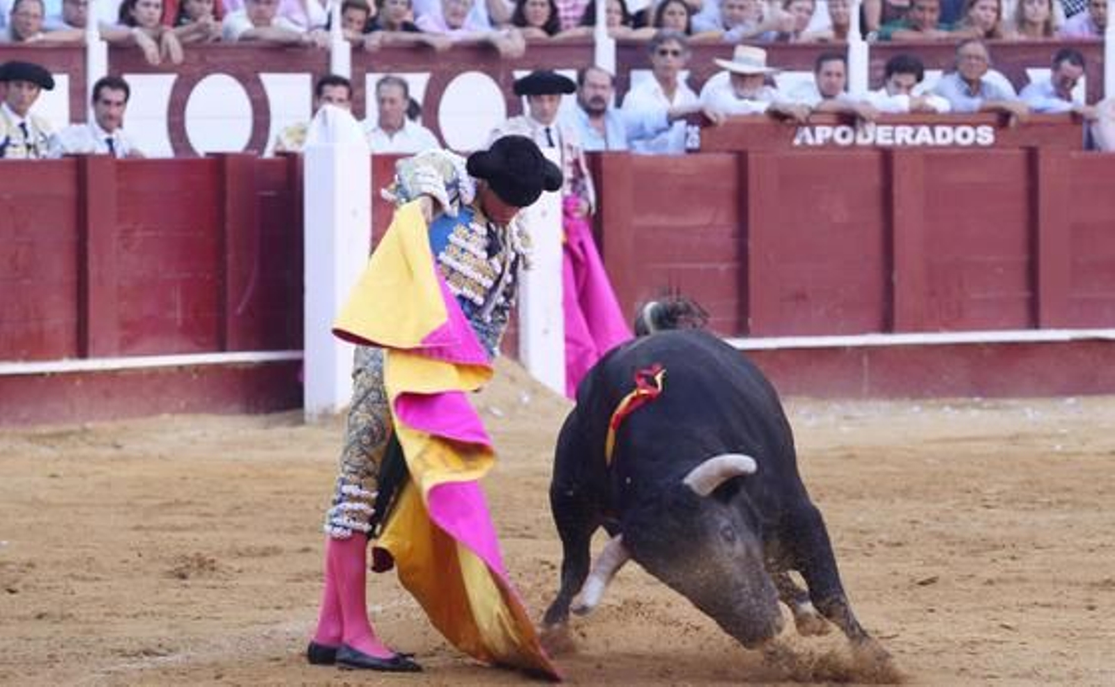 Manzanares en la Malagueta

Foto: Javier Albiñana
