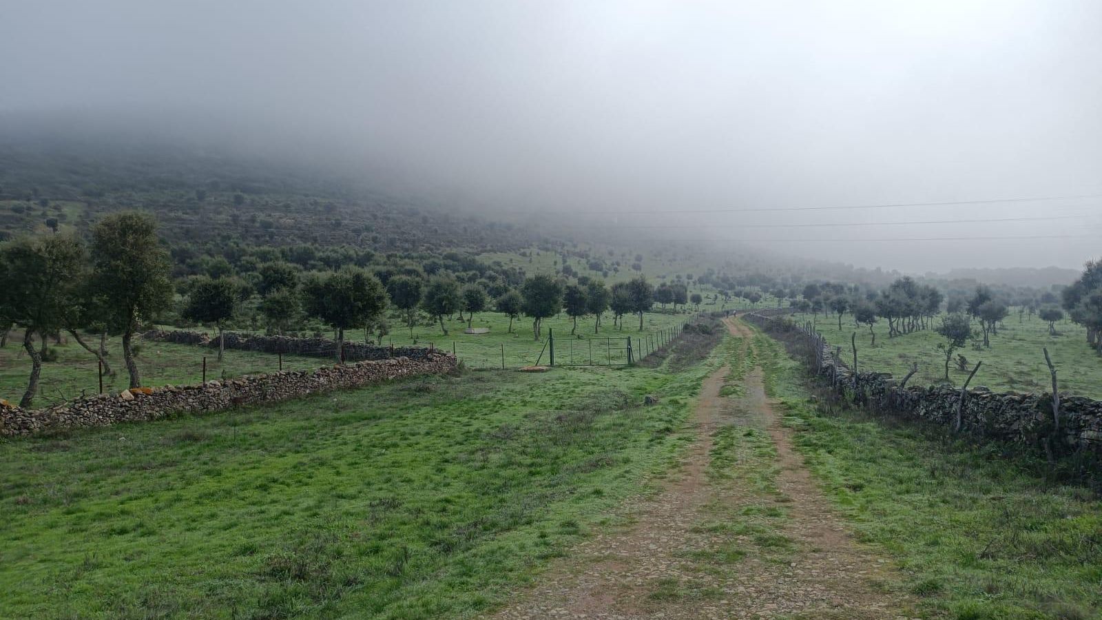 Avanzamos a los pies del Cerro del Parralejo.