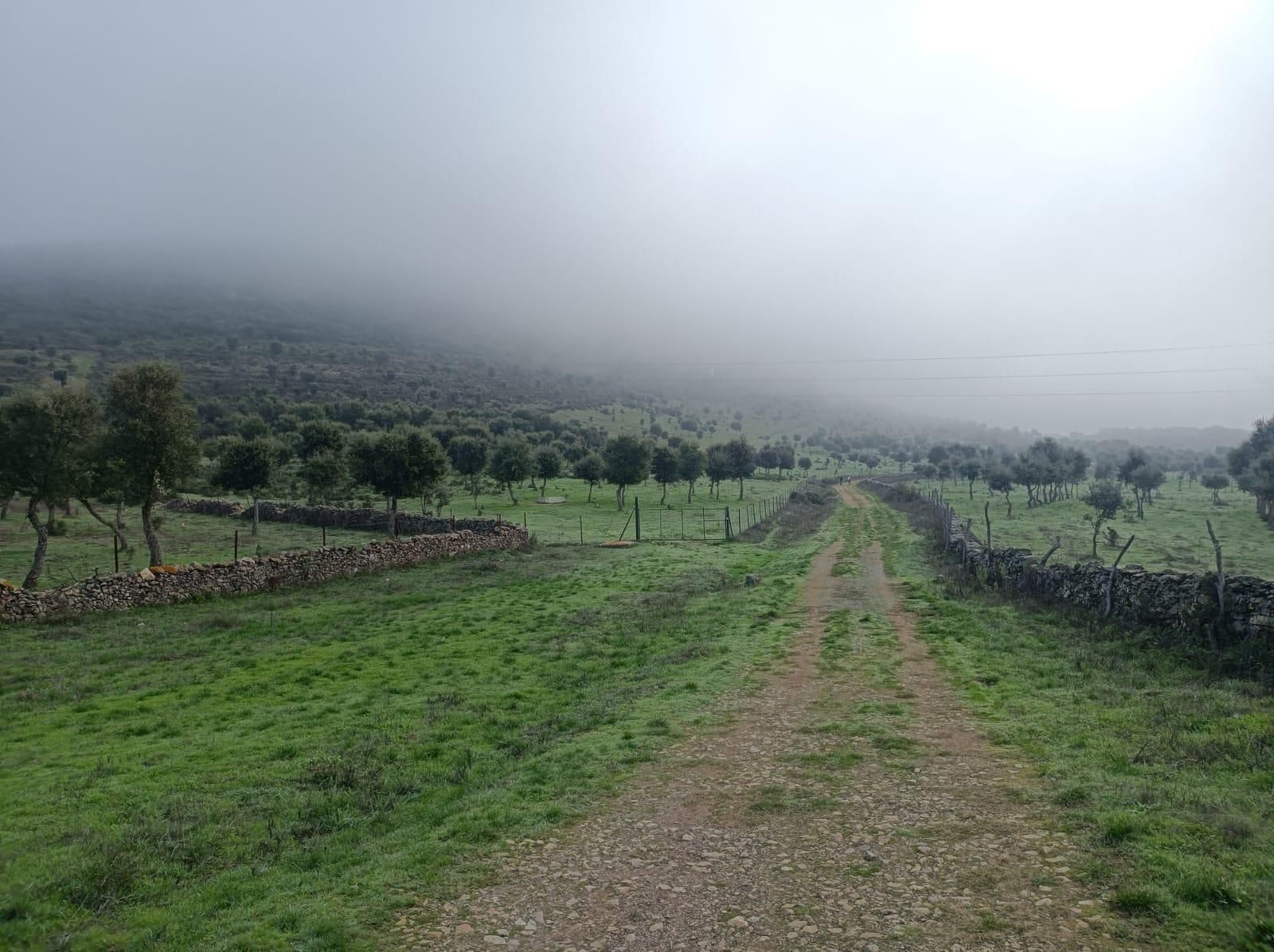 Avanzamos a los pies del Cerro del Parralejo.