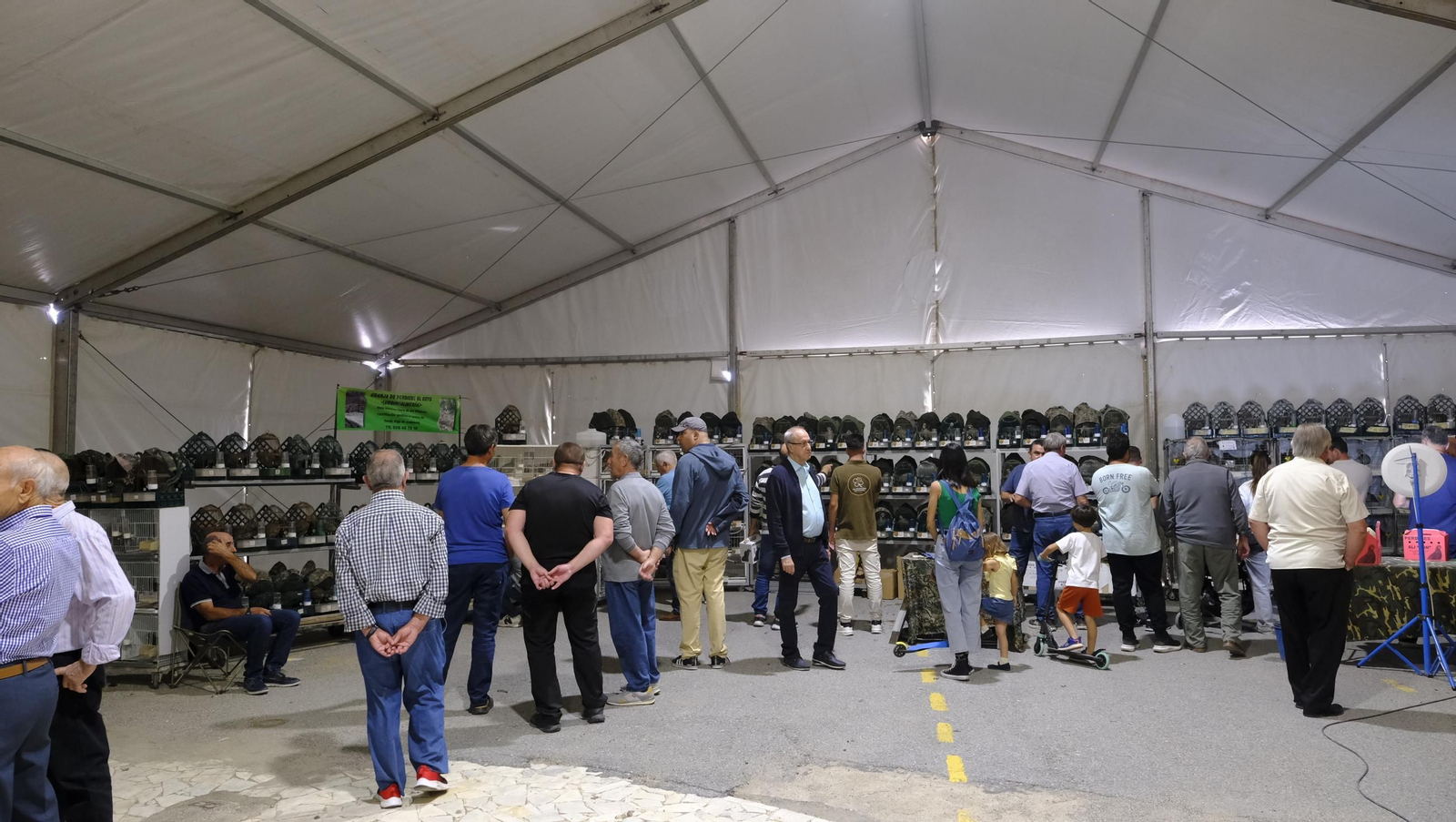 Las fotos de la Feria del Ganado y del Pájaro Perdiz en Albox