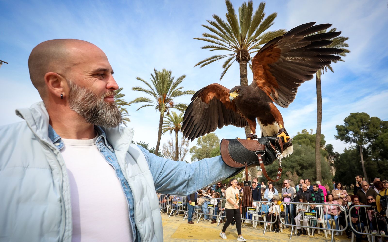 Fiesta de san Antón 2024 en Jerez
