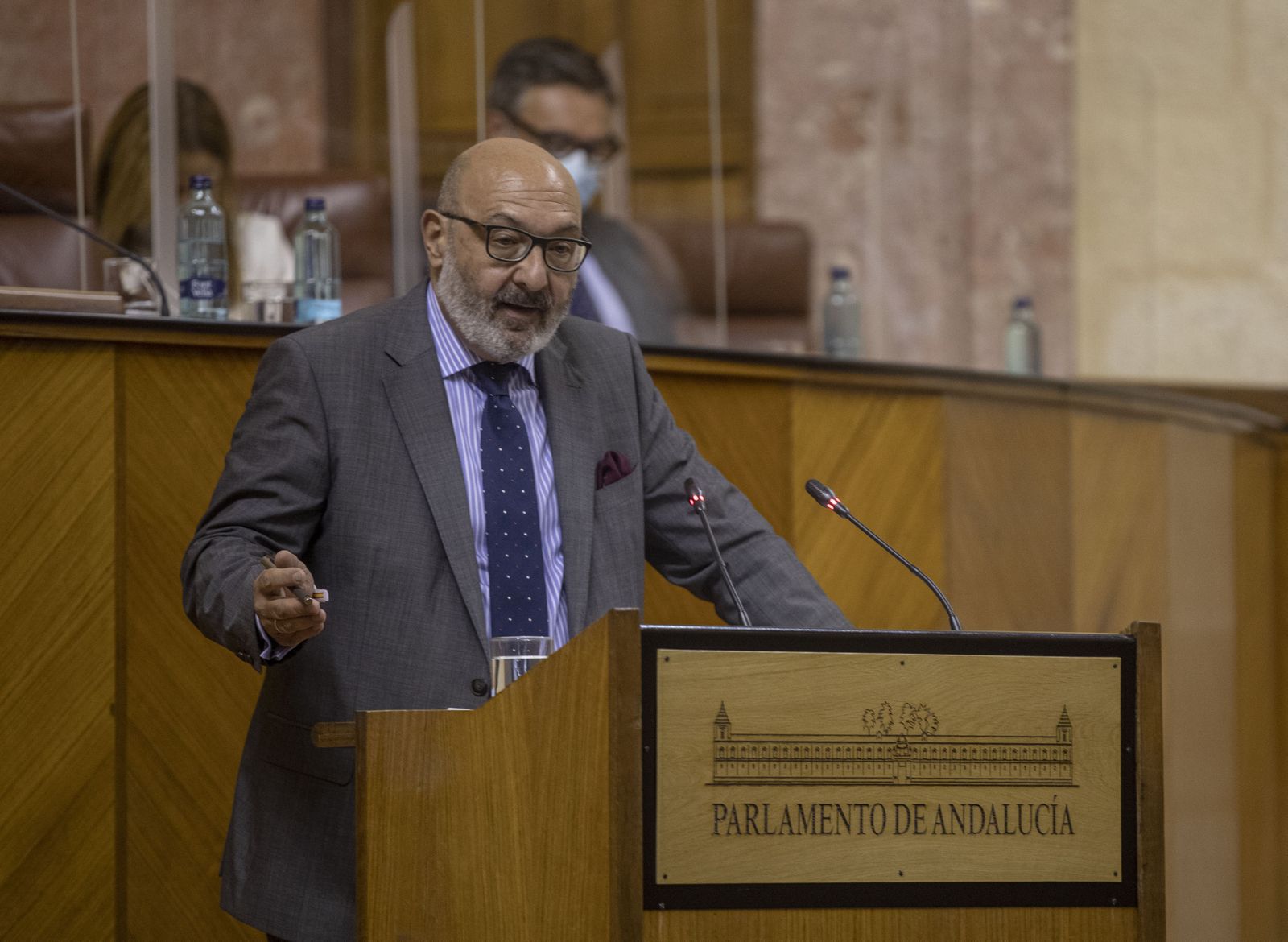 El portavoz de Vox , Alejandro  Hernández, durante una intervención en el Parlamento andaluz