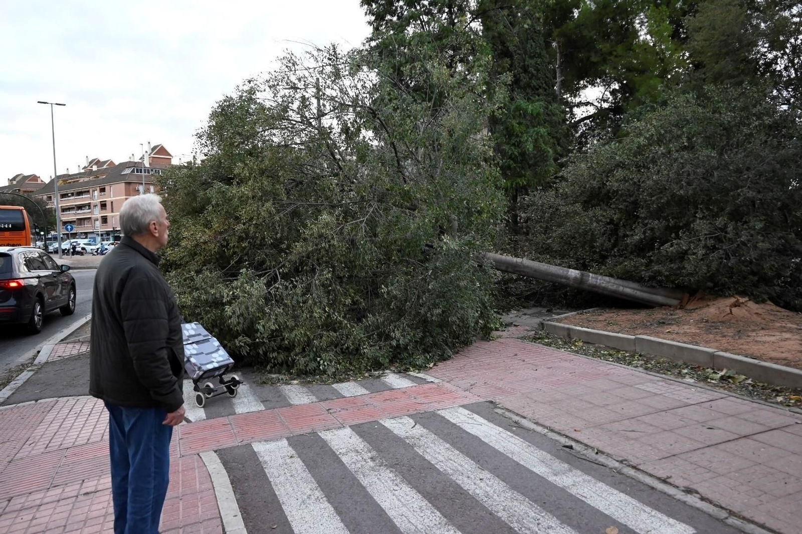 Los daños causados por la borrasca Bernard en Córdoba, en imágenes