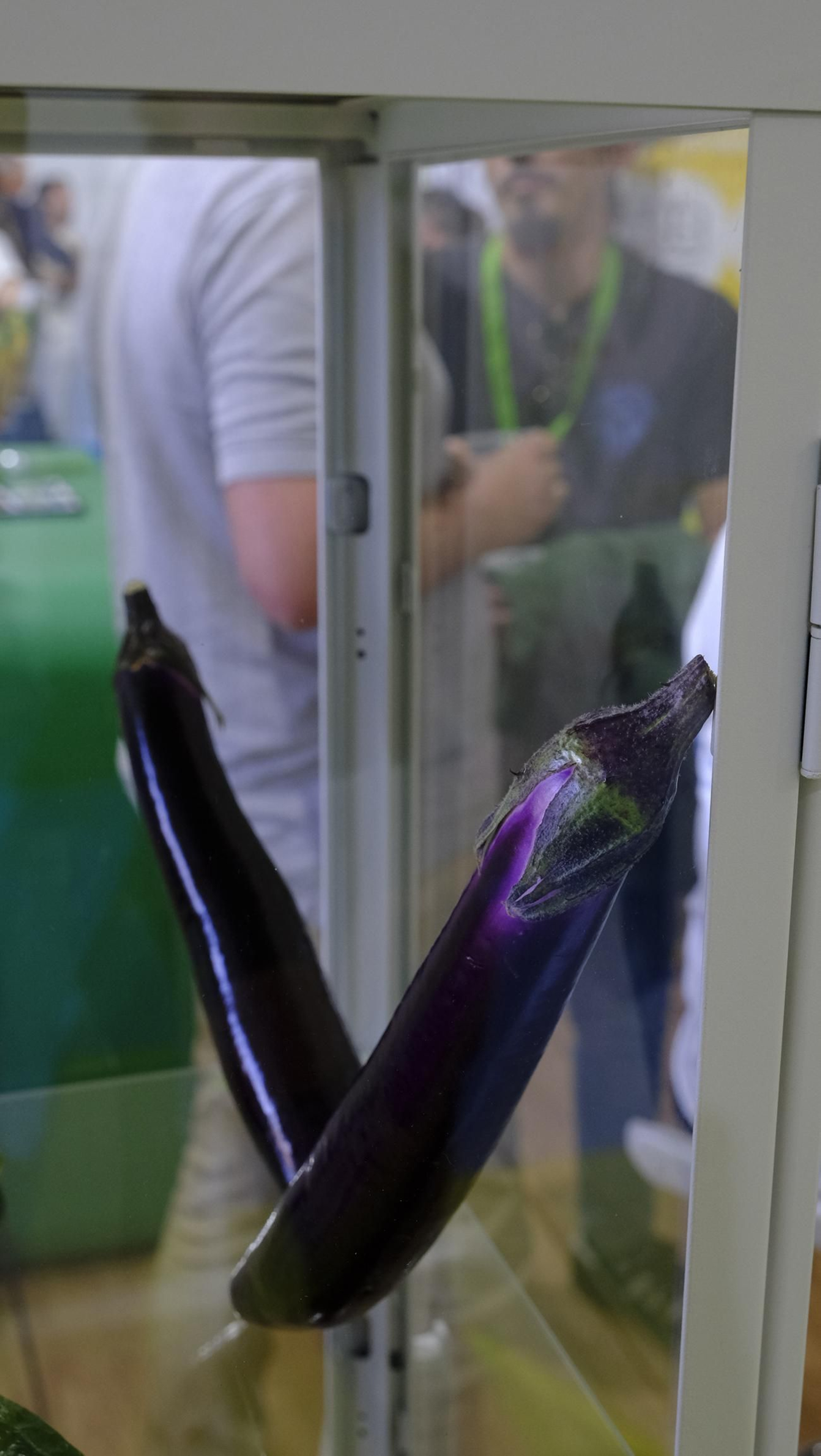 Las imágenes del primer día de Expolevante Níjar 2024