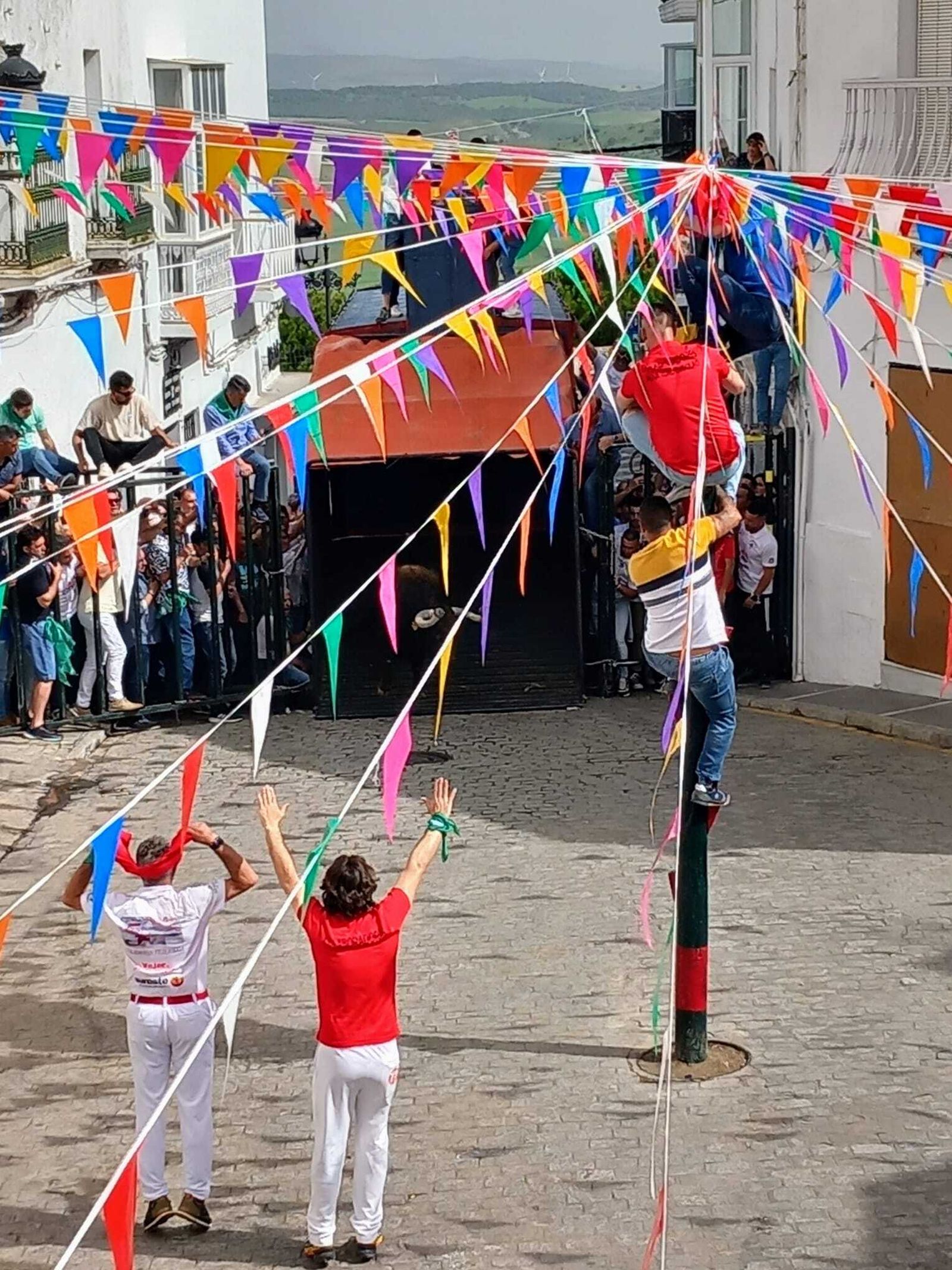 Imágenes de la fiesta del Toro Embolao en Vejer