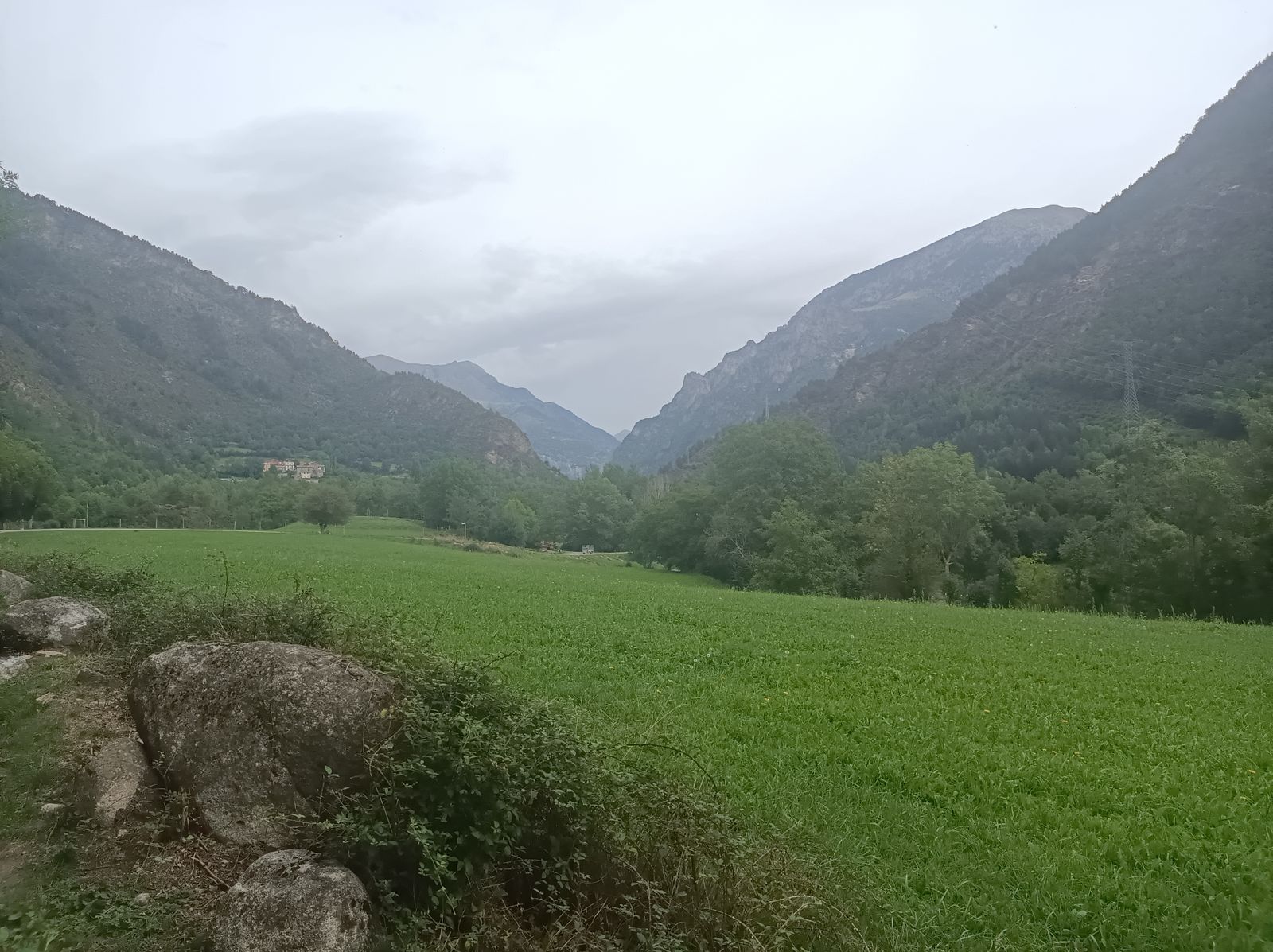 Alternaremos entre bosque y prado.