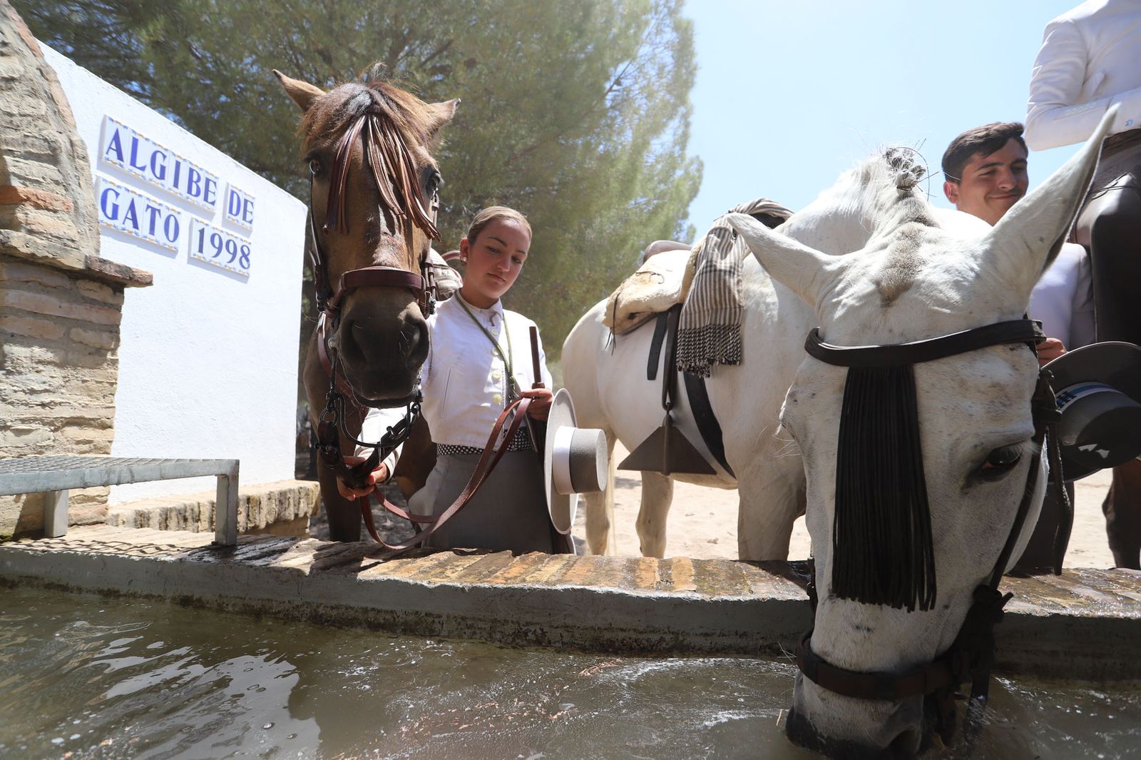 Imágenes de la Hermandad del Rocío de Huelva en el camino