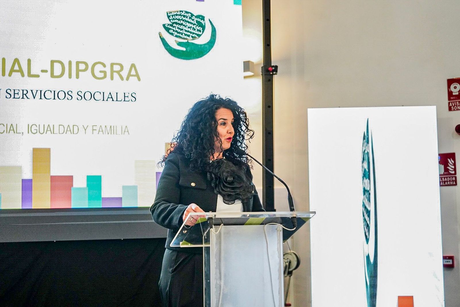 Fotos: Así han sido los mejores momentos de los Premios Social-Dipgra de Granada