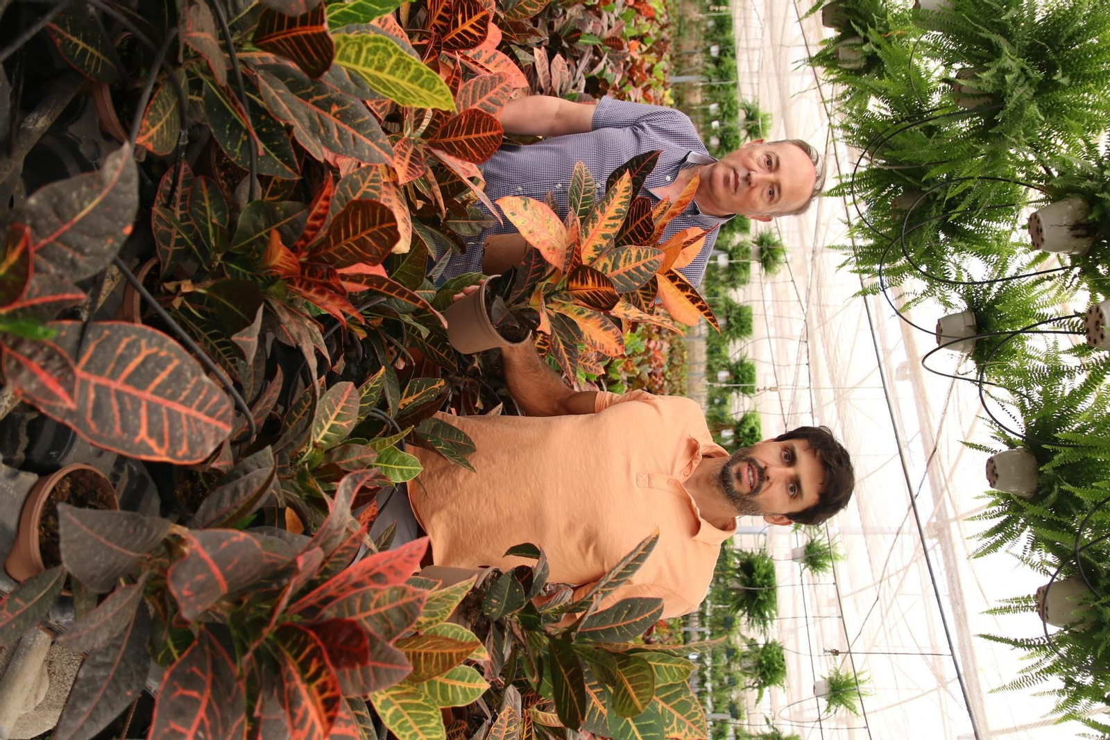 Imágenes de la venta de planta planta ornamental y flor cortada de Vícar