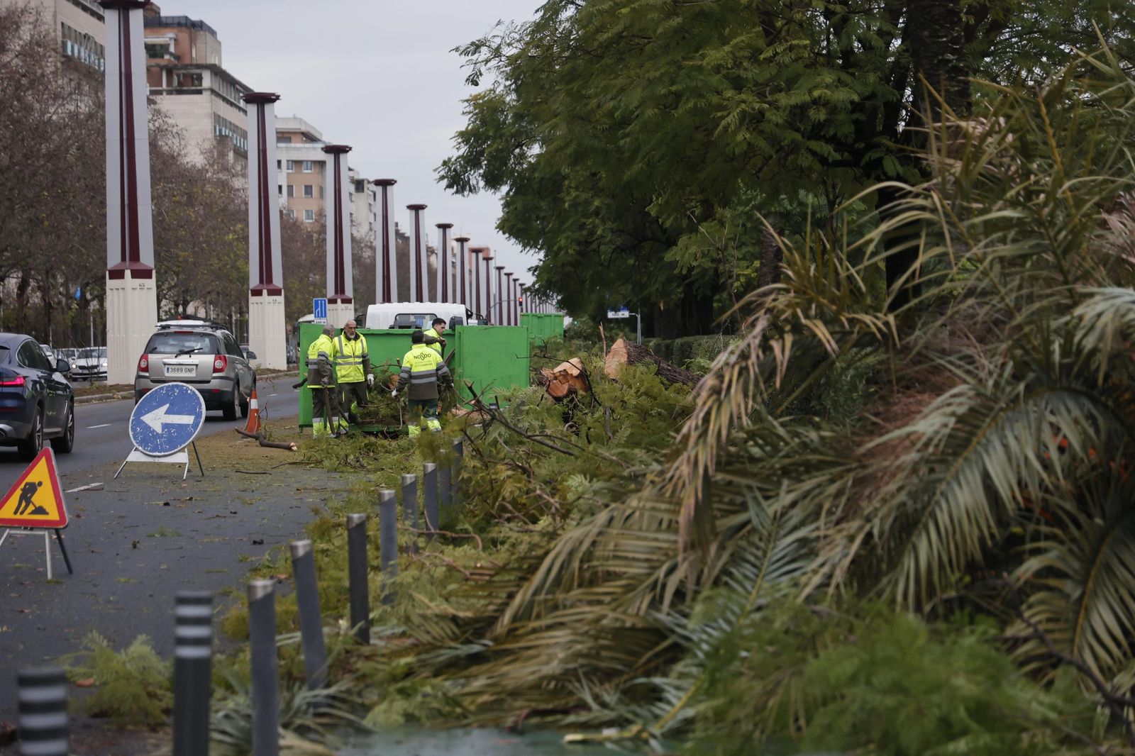 Leonardo en Sevilla provocó acumulaciones de agua y caída de árboles