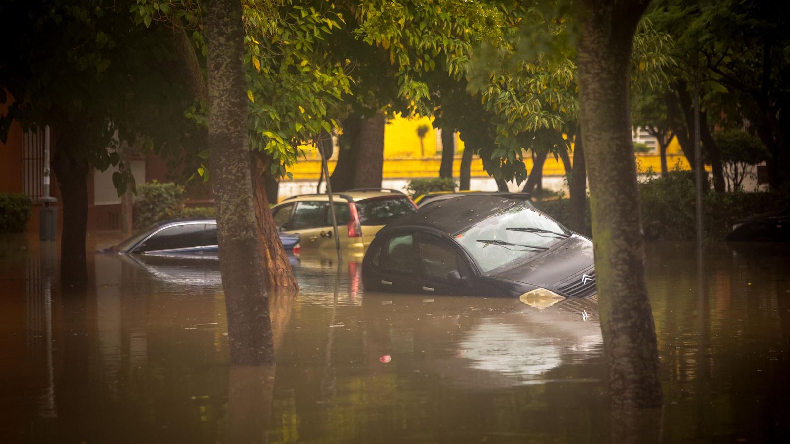 Imágenes del paso de la Dana, inundaciones, destrozos y caos por todo Jerez