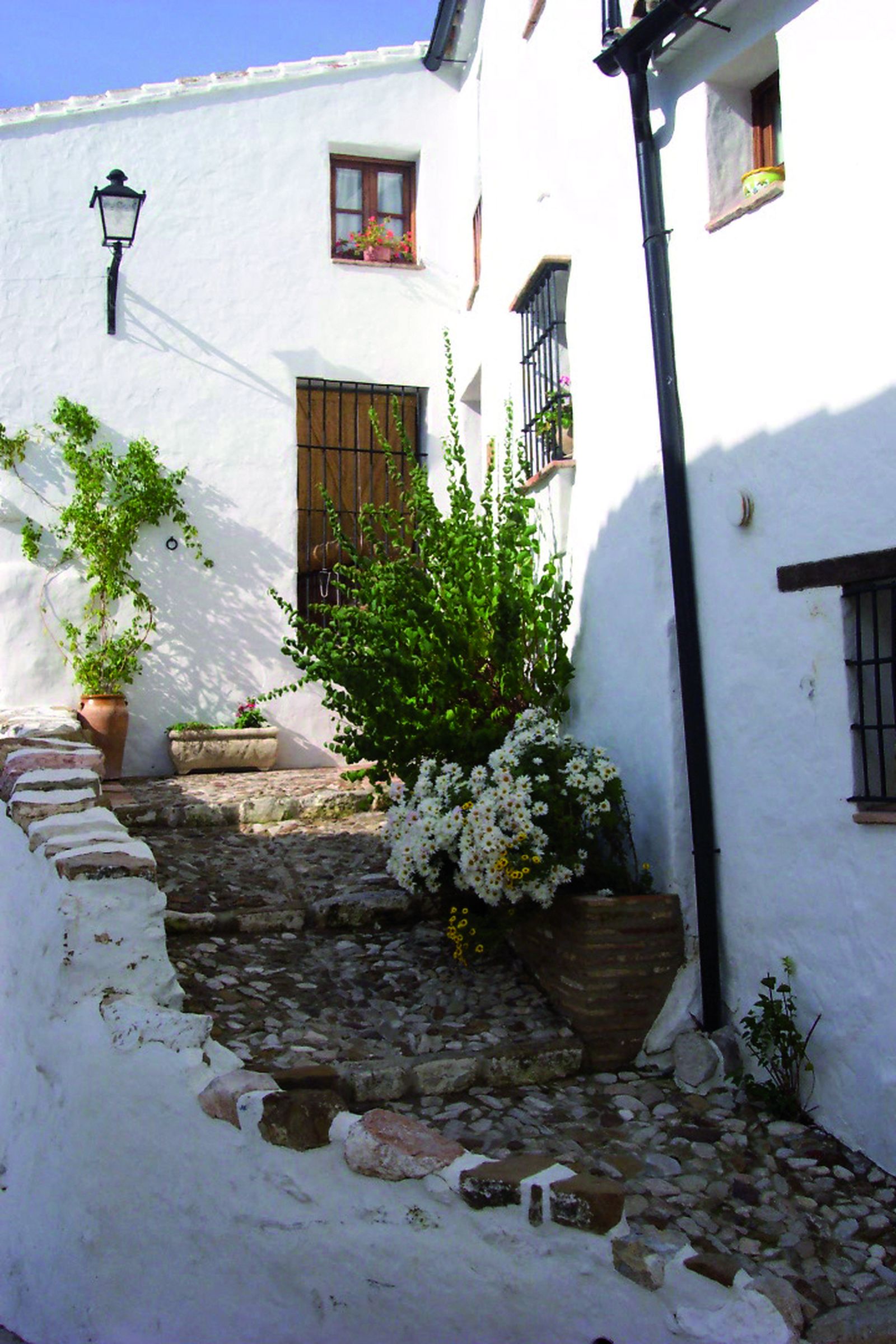 Calle típica Pueblo Blanco