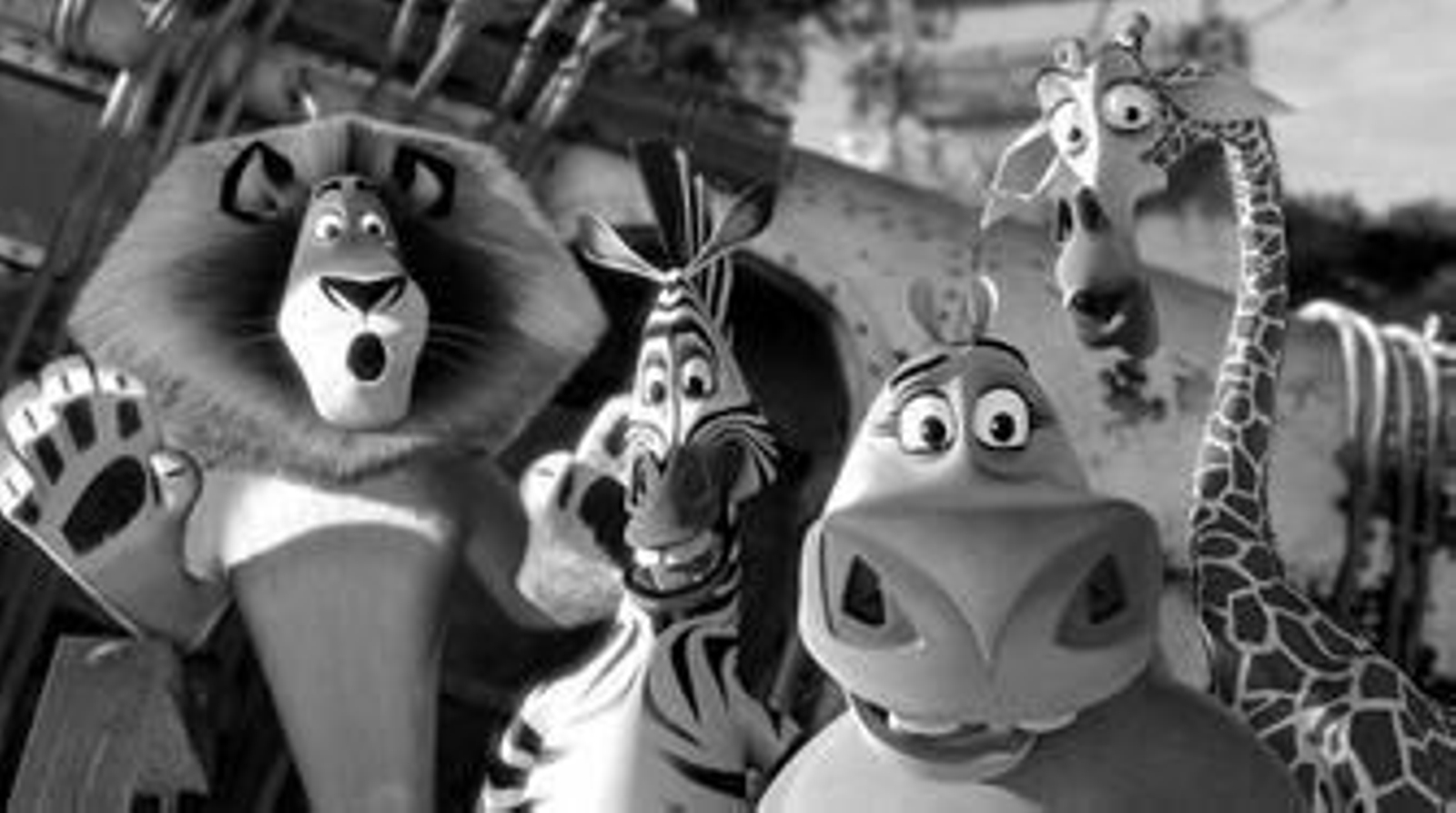 Los animales vuelven a África