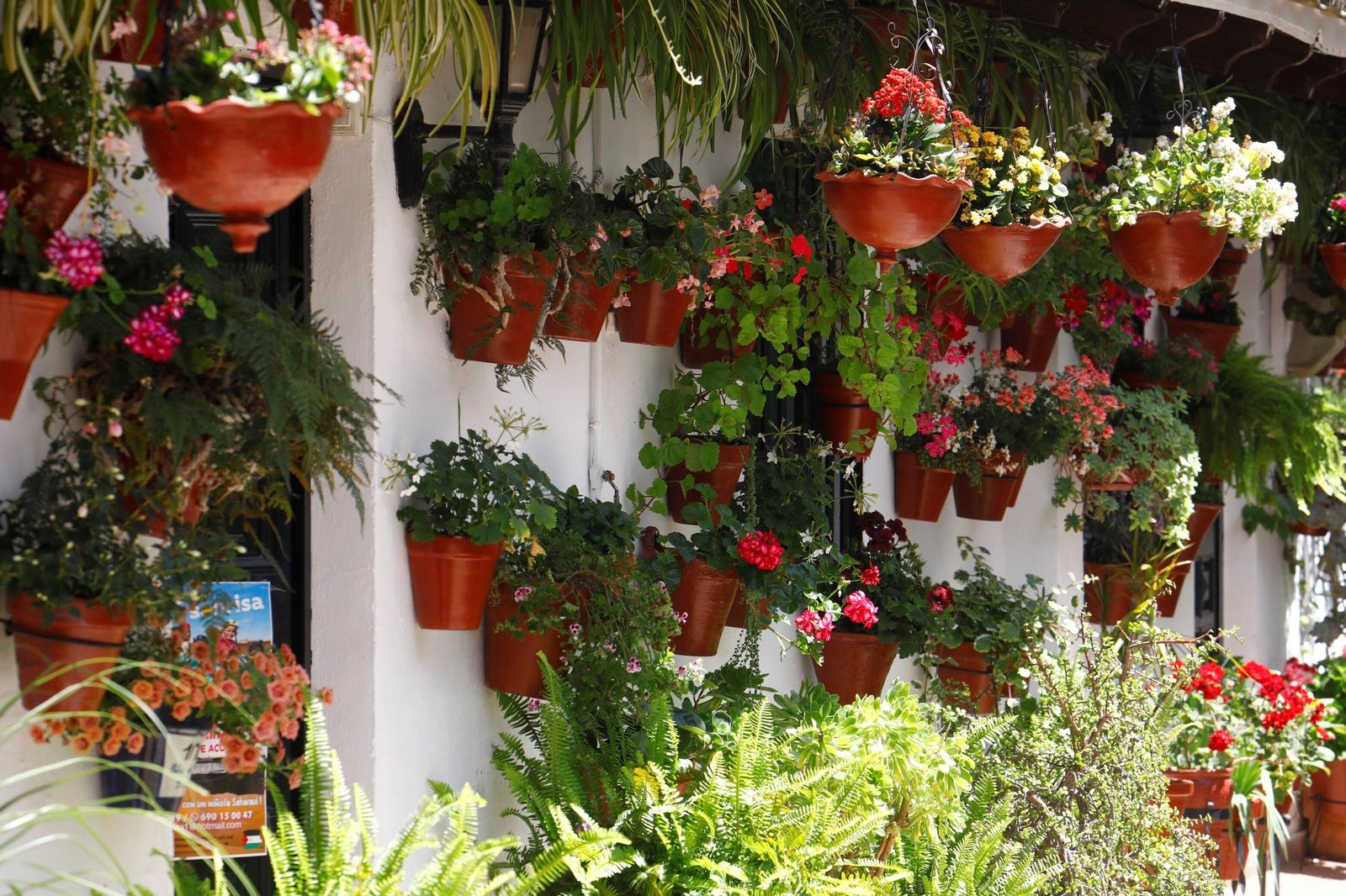 Un recorrido en imágenes por los patios de la ruta Regina-Realejo