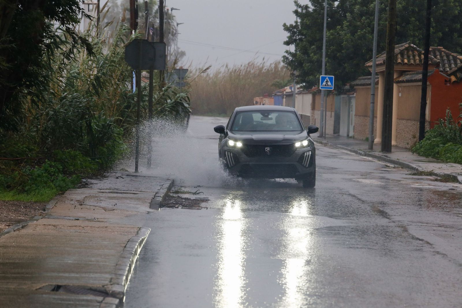 Fotografías de árboles caídos e inundaciones por la borrasca Leonardo