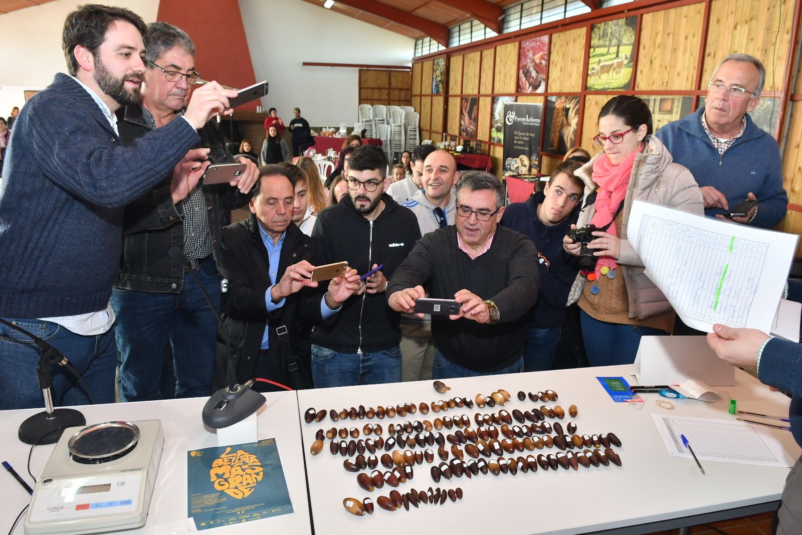 Expositor con los frutos presentados a concurso.
