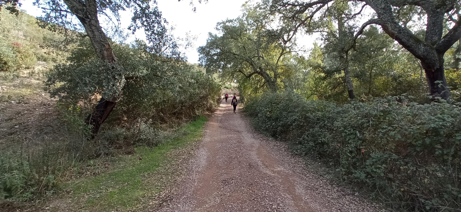 Las imágenes de la ruta de la Dehesa de Valdelama: De Los Marines a Fuenteheridos y vuelta