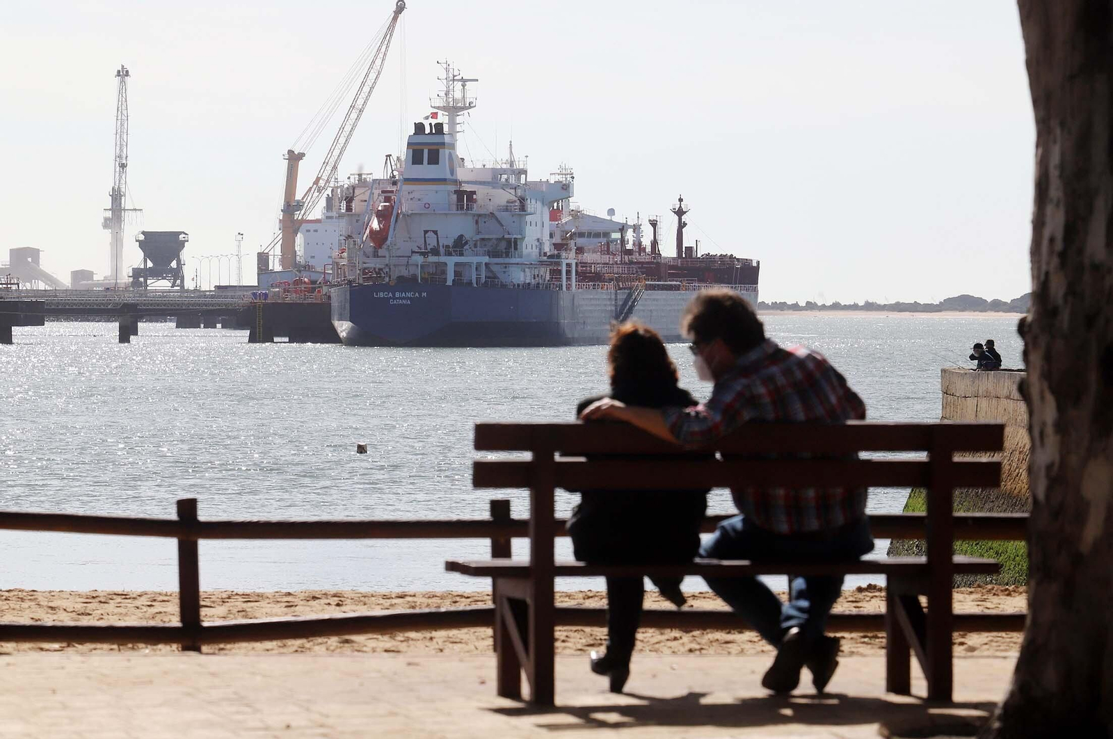 Imagen de los buques atracados al Muelle Ciudad de Palos desde la Punta del Sebo.