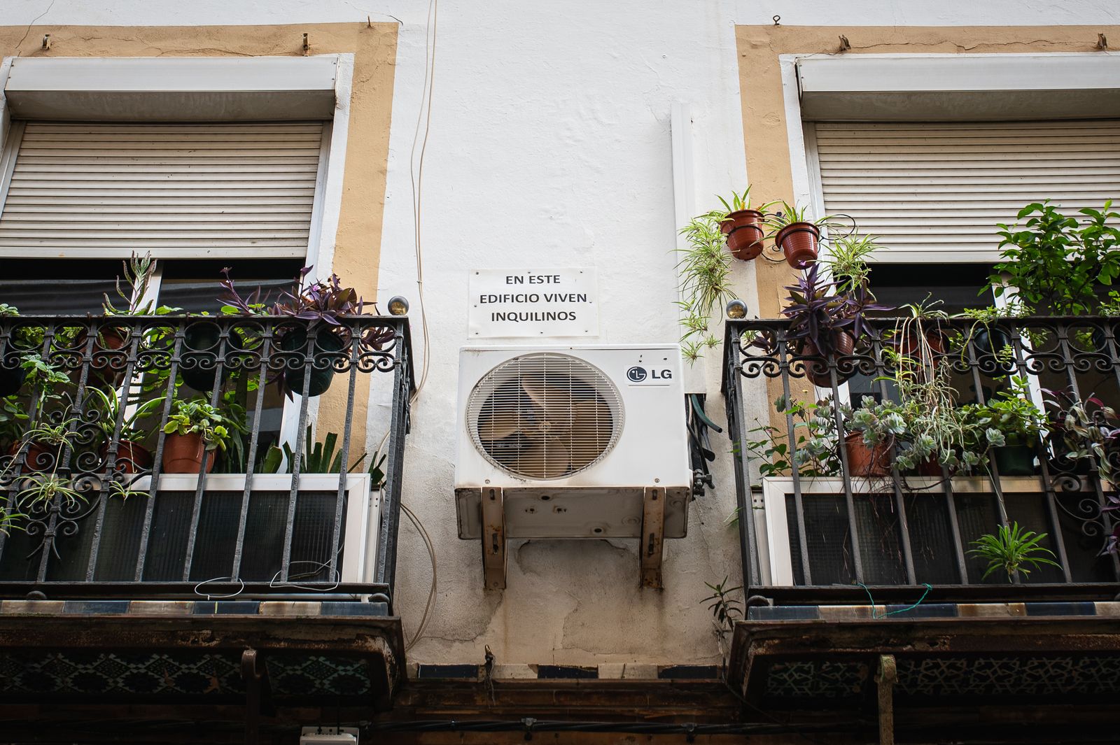 Una mañana en el mercado del jueves de la calle Feria