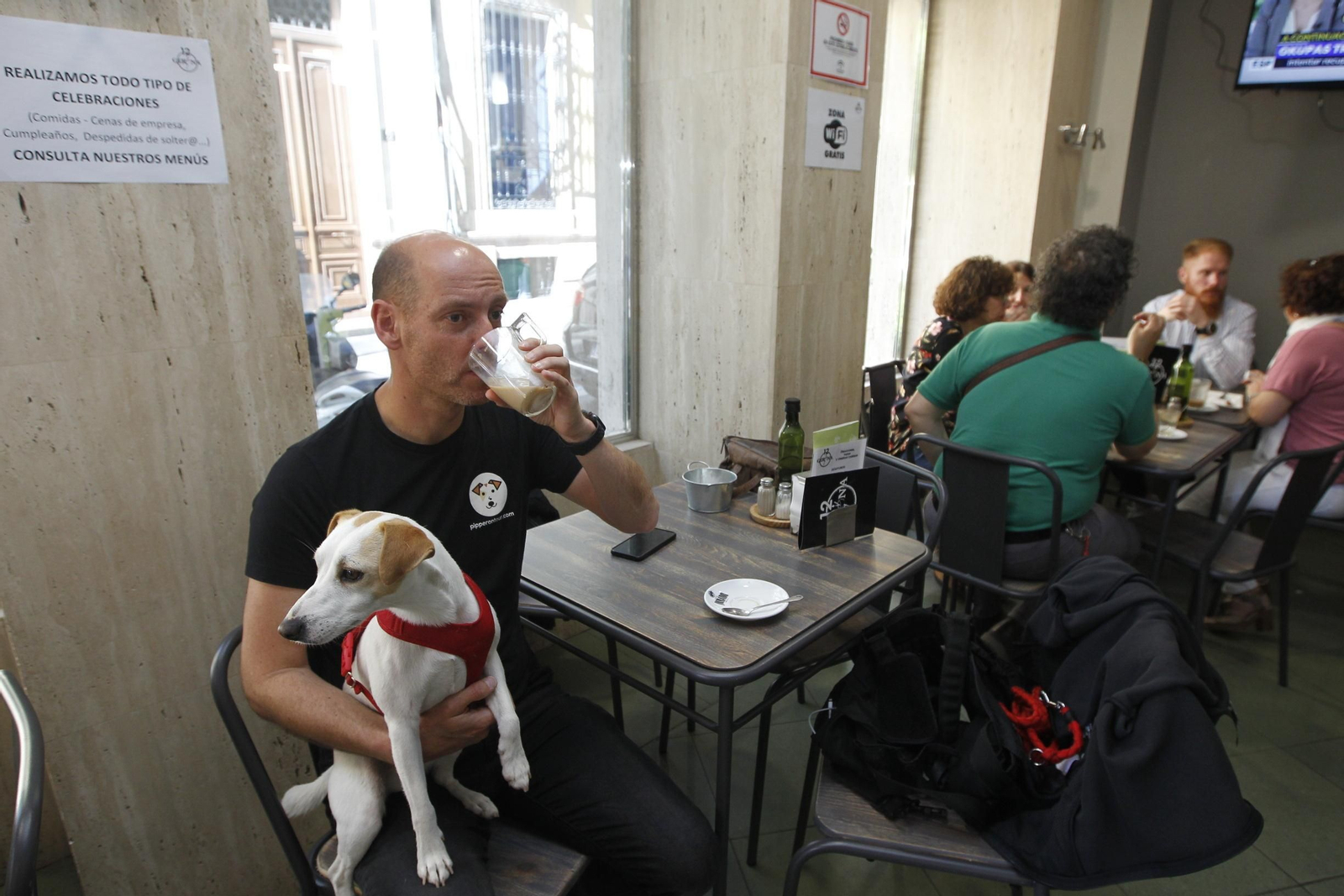 El perro Pipper descubre los lugares turísticos para mascotas en Almería.
